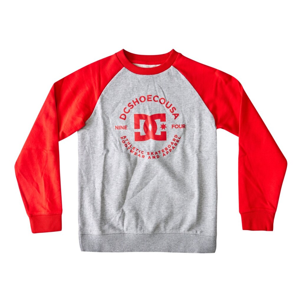 DC Shoes Sweatshirt »DC Star Pilot«