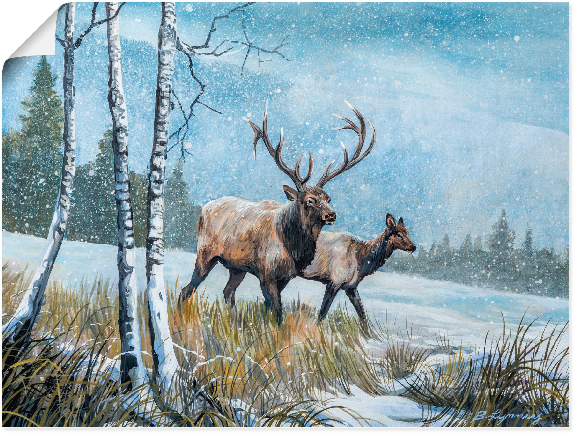 Reinders! Poster »Hirsch im Wald«, (1 St.) kaufen
