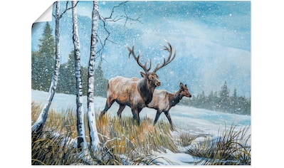Reinders! Poster »Hirsch im Wald«, (1 St.) kaufen