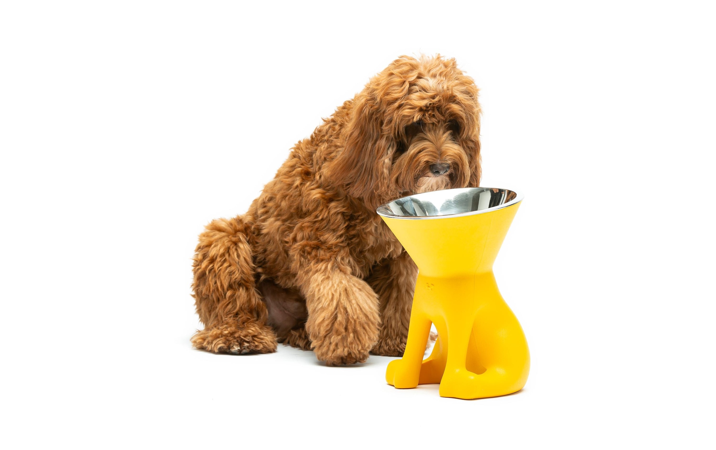   Mangeoire »United Pets Hundenapf Elisabeth« Pflegeleichter Futternapf mit rutschfester Basis