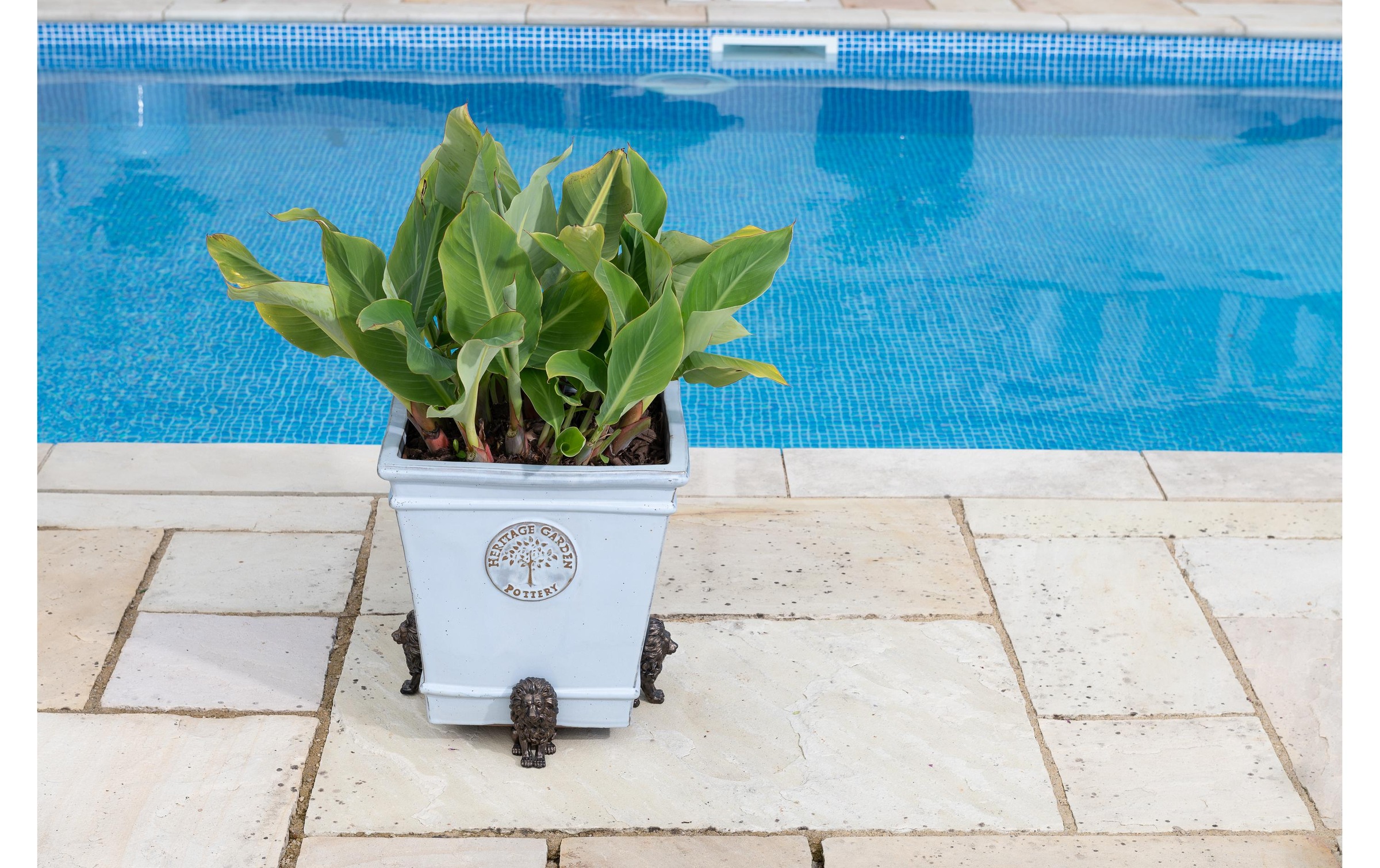 Blumenständer »Potty Feet Löwe«