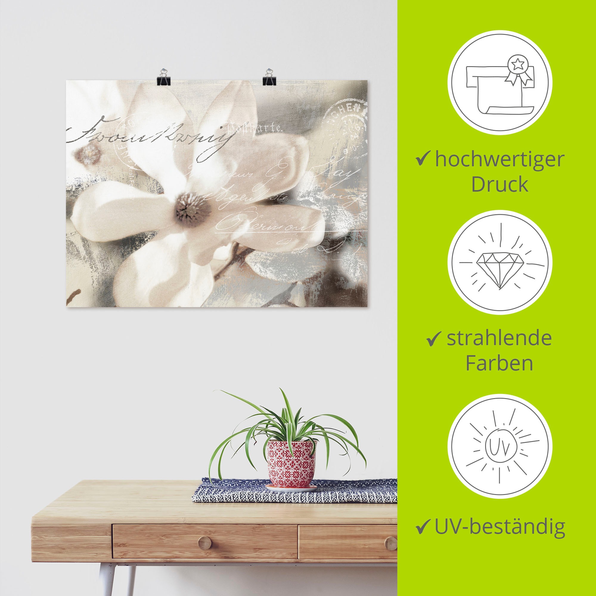 Artland Wandbild »Magnolie_Detail« Blumenbilder 1 Stk. tlg. als Alubild, Leinwandbild, Poster in verschied. Grössen