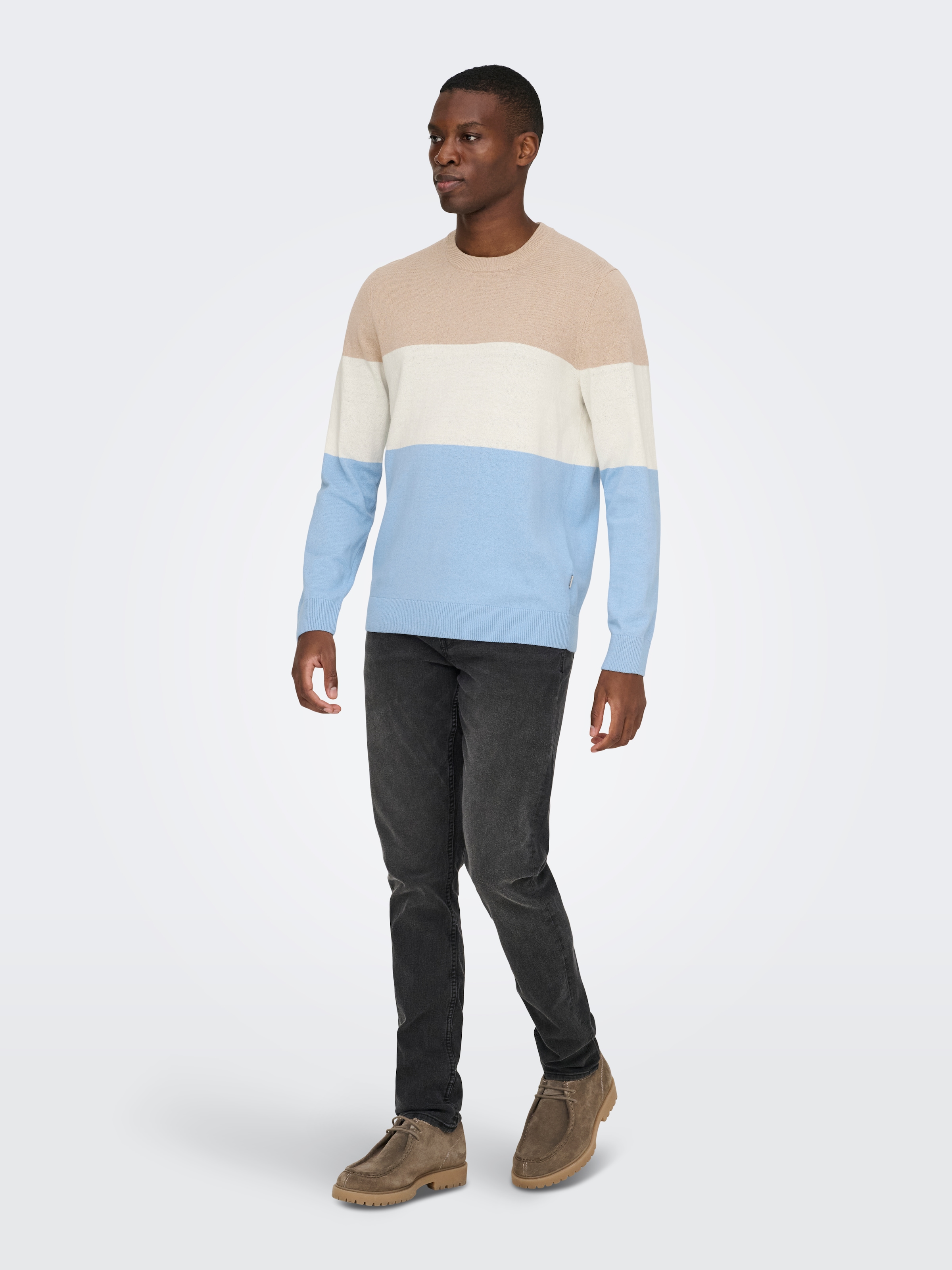 ONLY & SONS Pull à col rond »ONSREX LIFE REG 12 CREW KNIT«