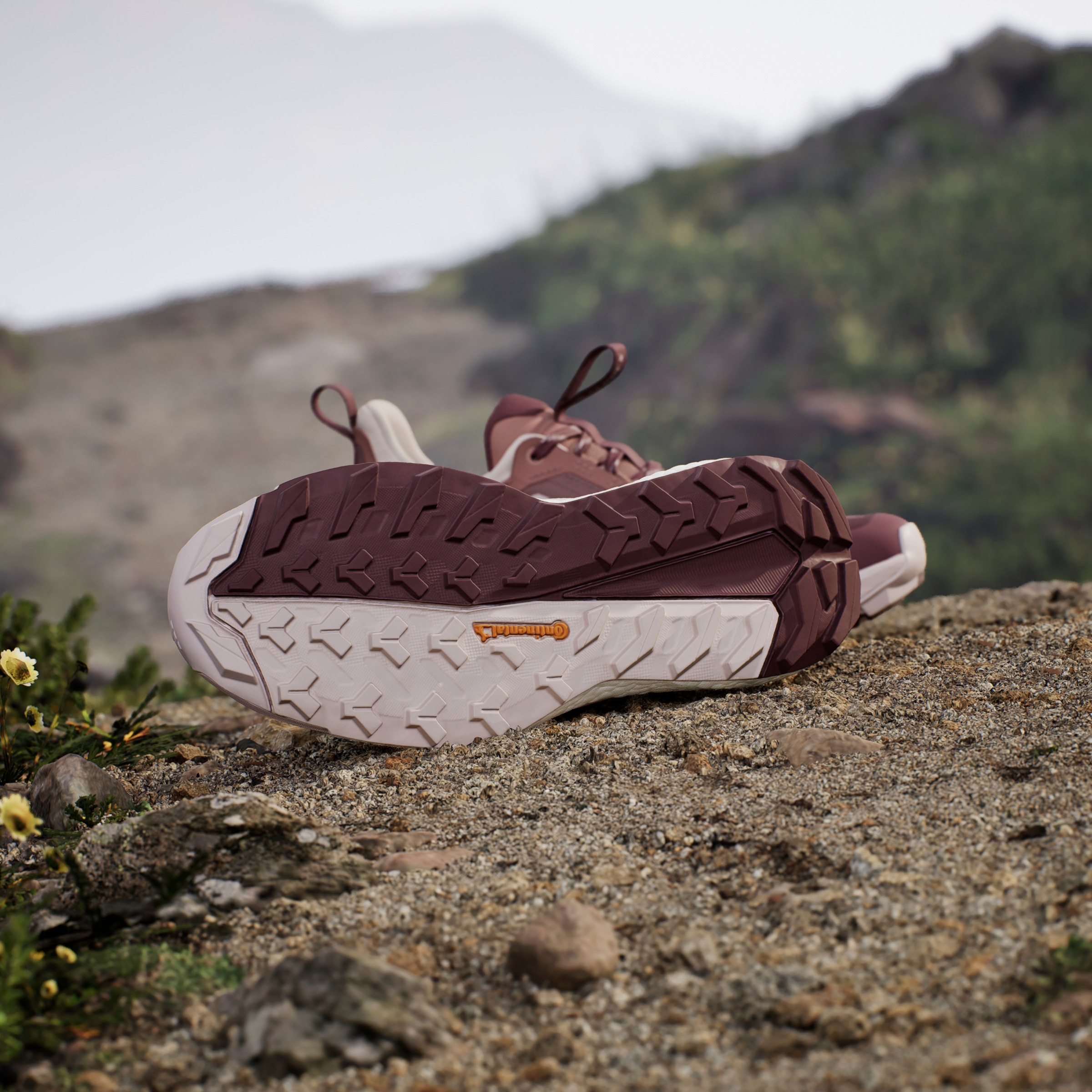 adidas TERREX Wanderschuh »TERREX FREE HIKER 2.0 LOW«