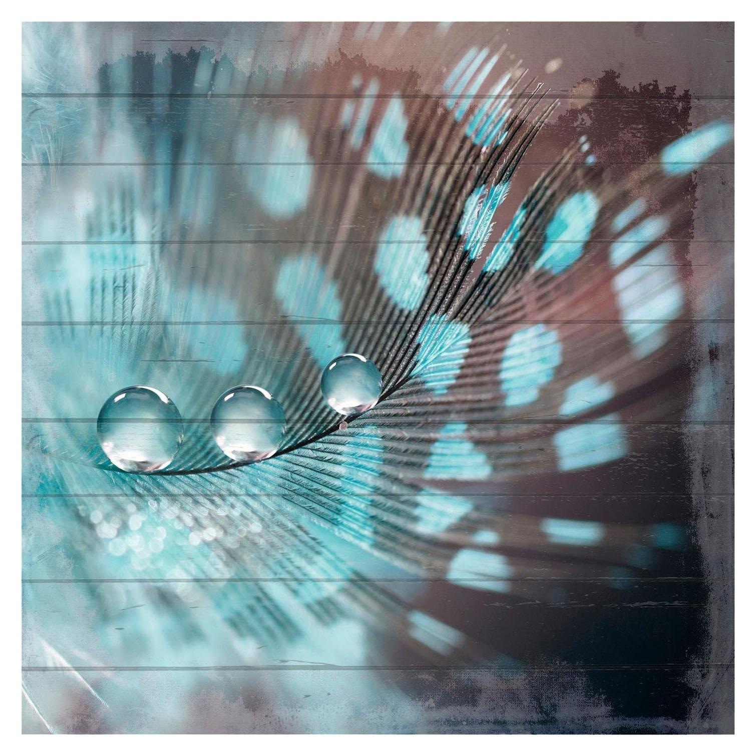 Image of Home affaire Holzbild »Wassertropfen auf Feder«, 40/40 cm bei Ackermann Versand Schweiz