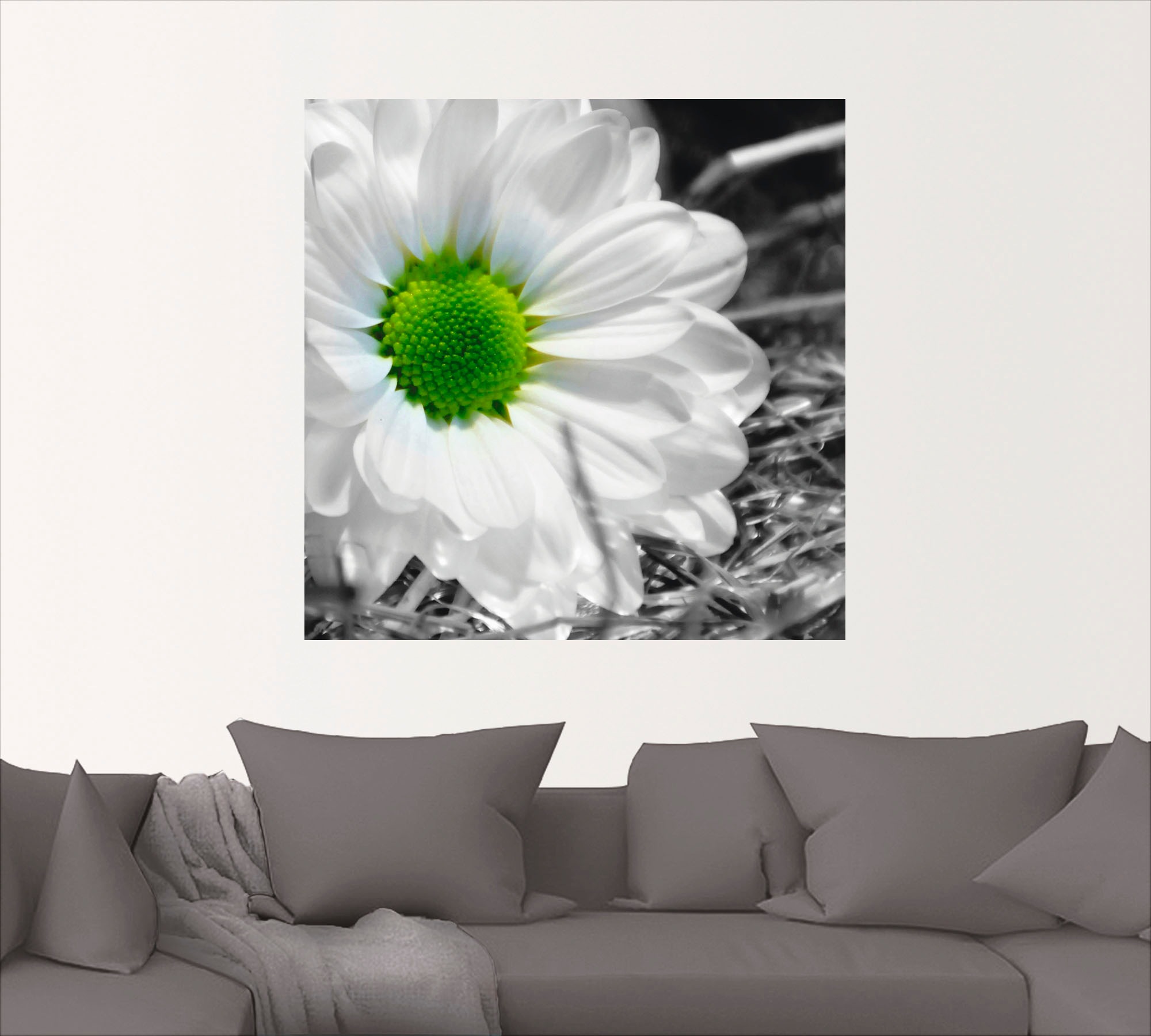 Artland Wandbild »Weisse Blume«, Blumen, (1 St.), als Leinwandbild, Wandaufkleber in verschied. Grössen