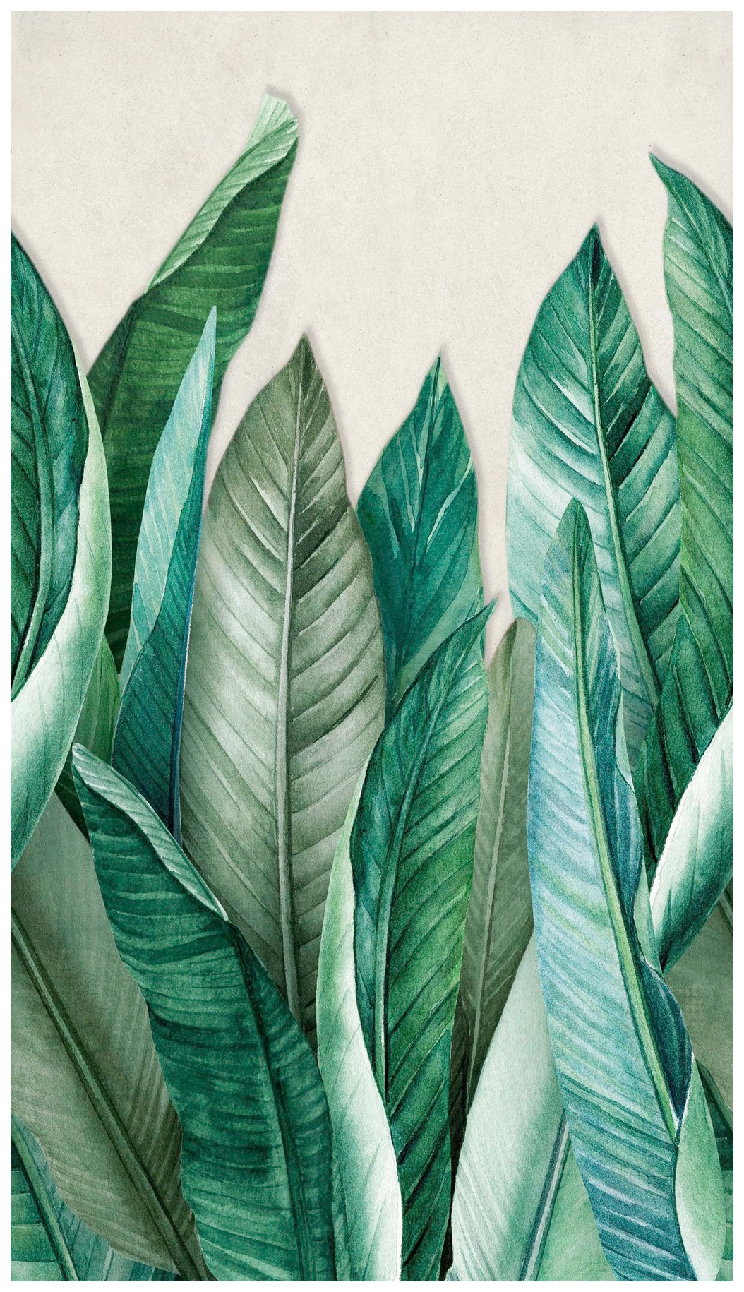 Image of Bodenmeister Fototapete »Bananenblätter Dschungel grün« bei Ackermann Versand Schweiz