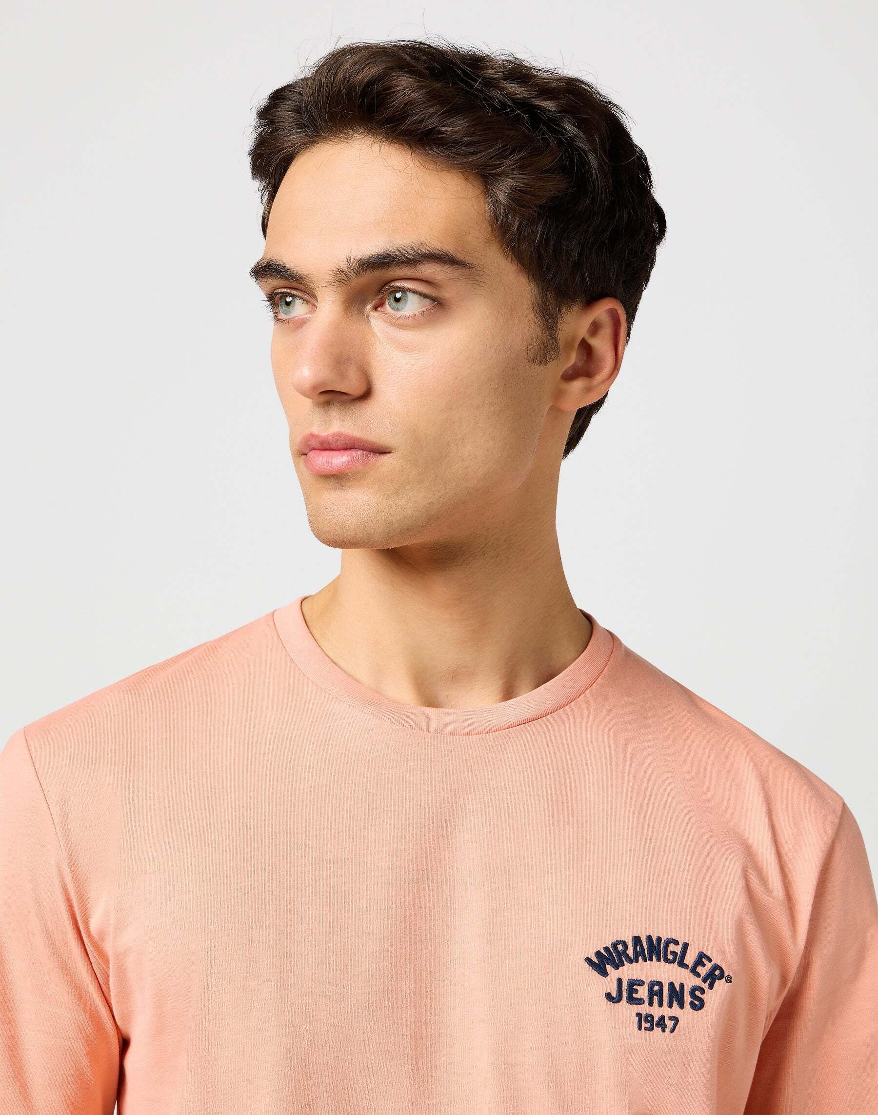 Wrangler T-Shirt »Wrangler T-Shirt Small Logo Tee«