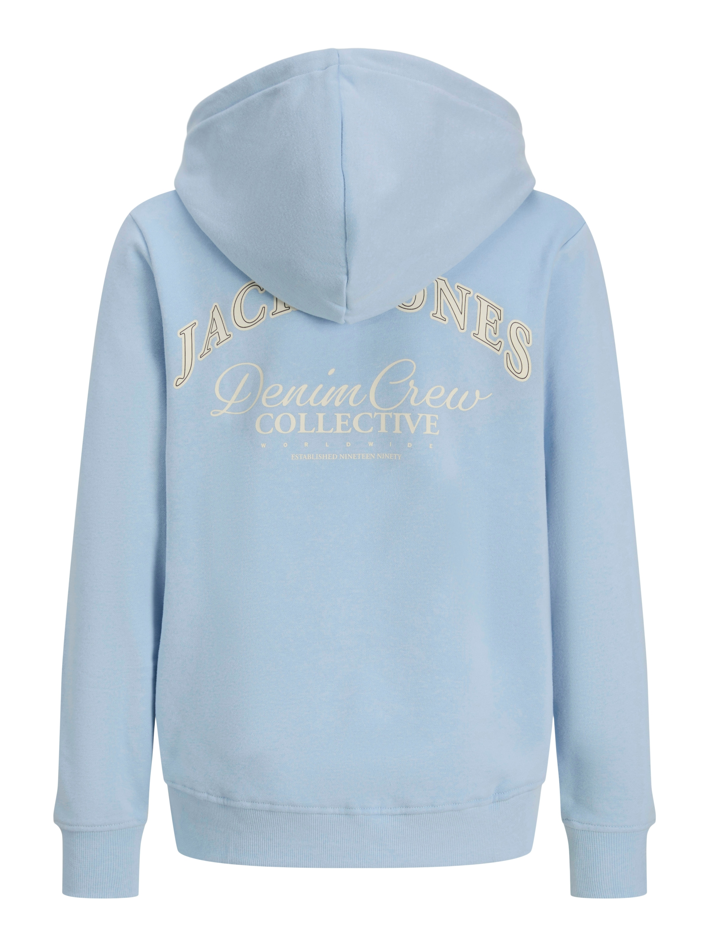 Jack & Jones Junior Kapuzensweatshirt »JJEBRANDES BACKP RELAXED SWEAT H SN JNR«