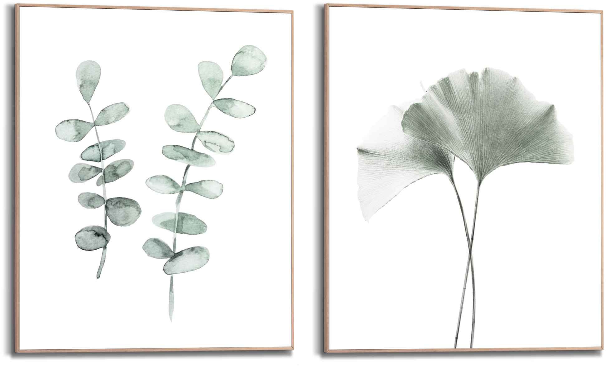 Image of Reinders! Wandbild »Wandbilder Set Botanisch Naturmotiv Eukalyptus - Ginkgo - Tempelbaum Blatt - Japanischer Nussbaum«, Natur, (2 St.) bei Ackermann Versand Schweiz