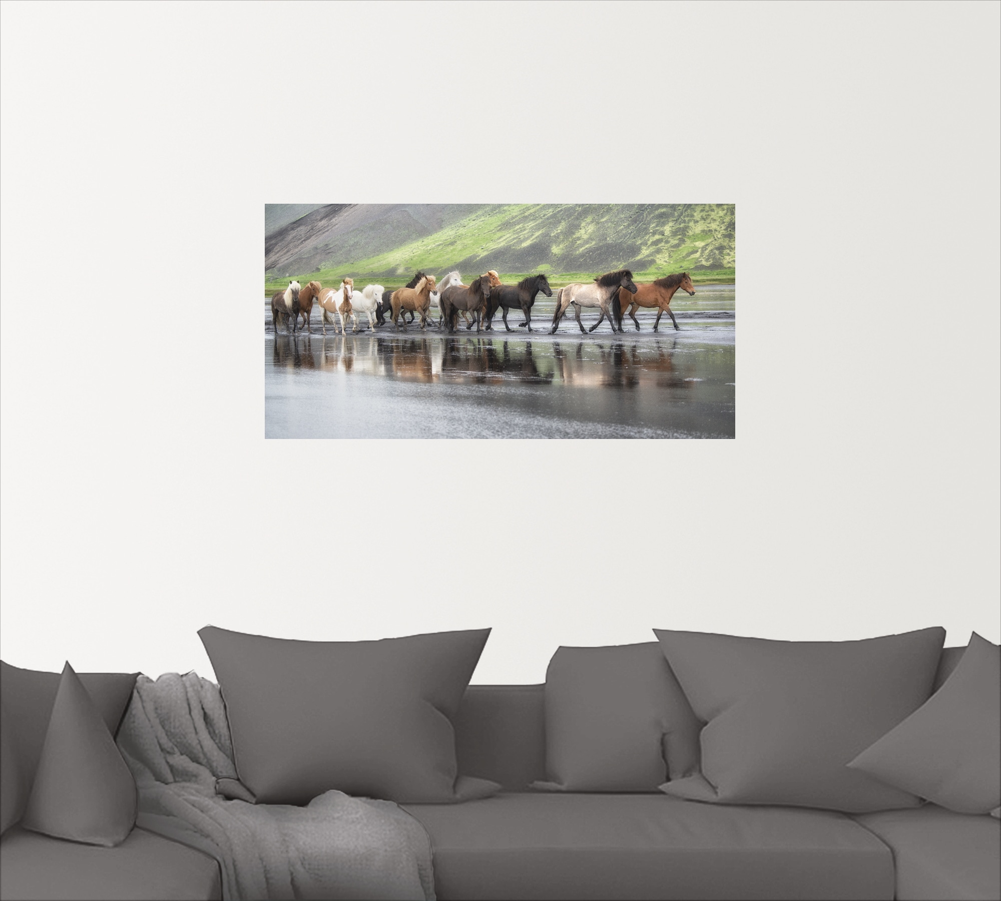 Artland Wandbild »Isländische Pferde XIV«, Haustiere, (1 St.), als Alubild,  Leinwandbild, Wandaufkleber oder Poster in versch. Grössen maintenant
