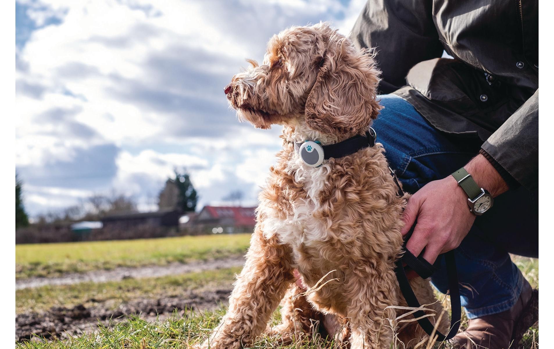 Sure Petcare  Activity Tracker »Animo«