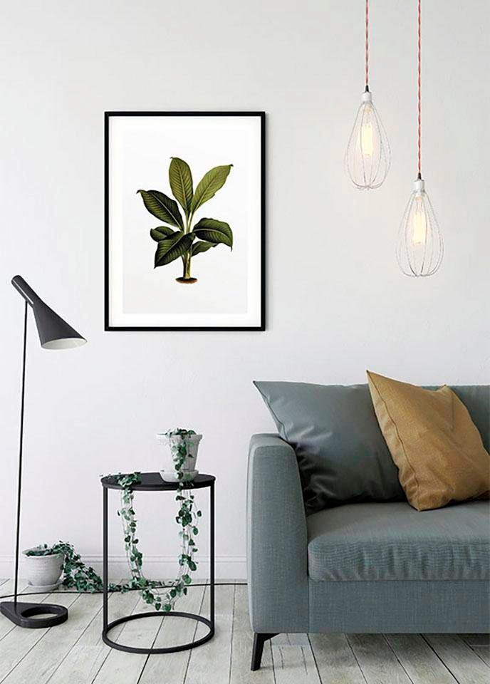 Komar Poster günstig Pflanzen-Blätter, Schlafzimmer, »Elastica Leaf«, Wohnzimmer Kinderzimmer, kaufen