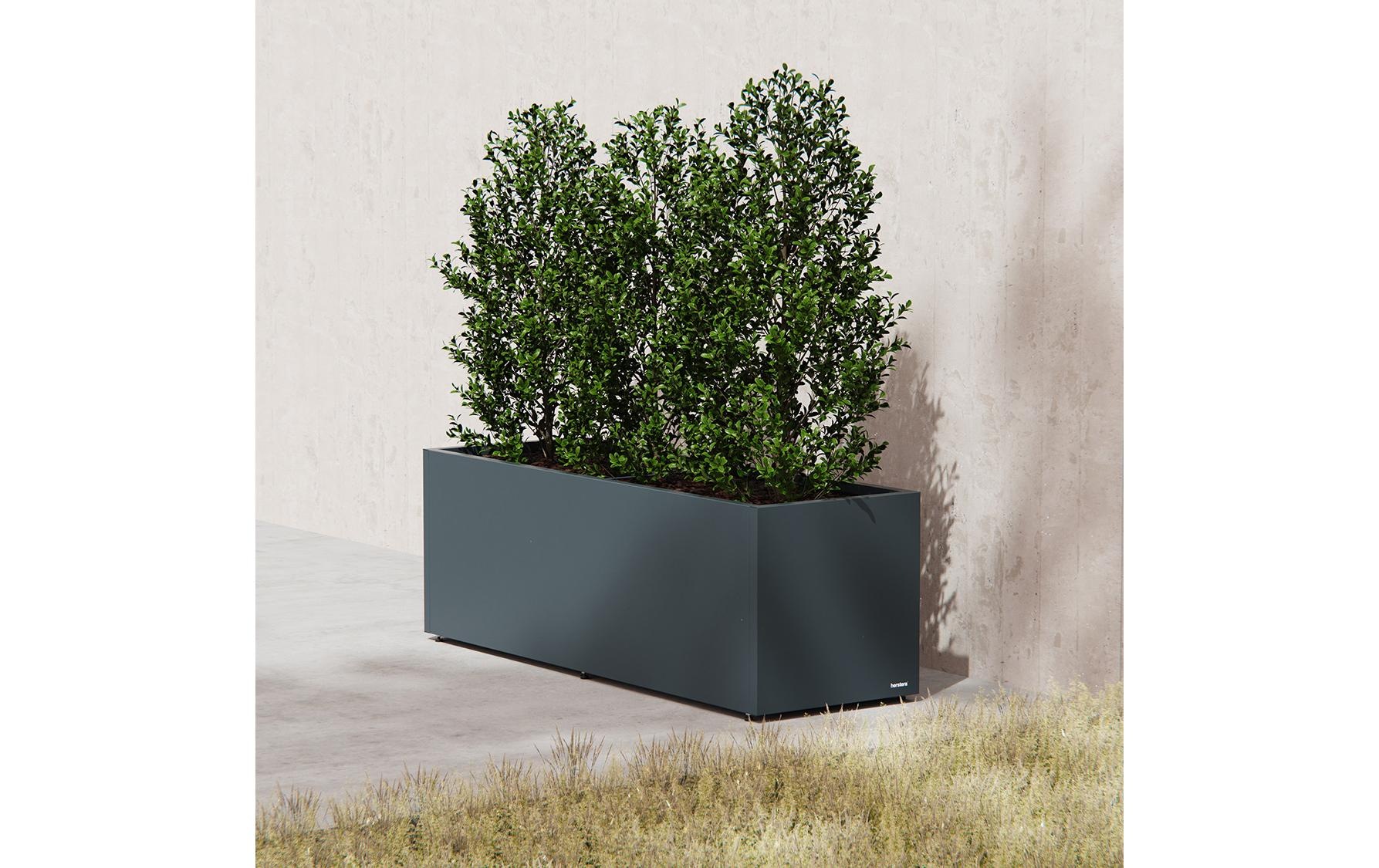 Herstera Garden Bac à plantes aus Stahl, 150x50x50 cm, anthrazit