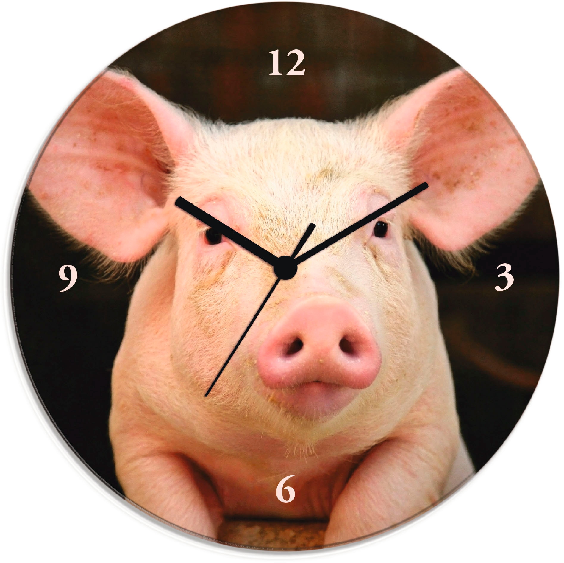 Artland Wanduhr »Vorwitziges Schwein«, wahlweise mit Quarz- oder Funkuhrwerk,  lautlos ohne Tickgeräusche bequem kaufen