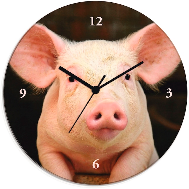 Artland Wanduhr »Vorwitziges Schwein«, wahlweise mit Quarz- oder Funkuhrwerk,  lautlos ohne Tickgeräusche bequem kaufen