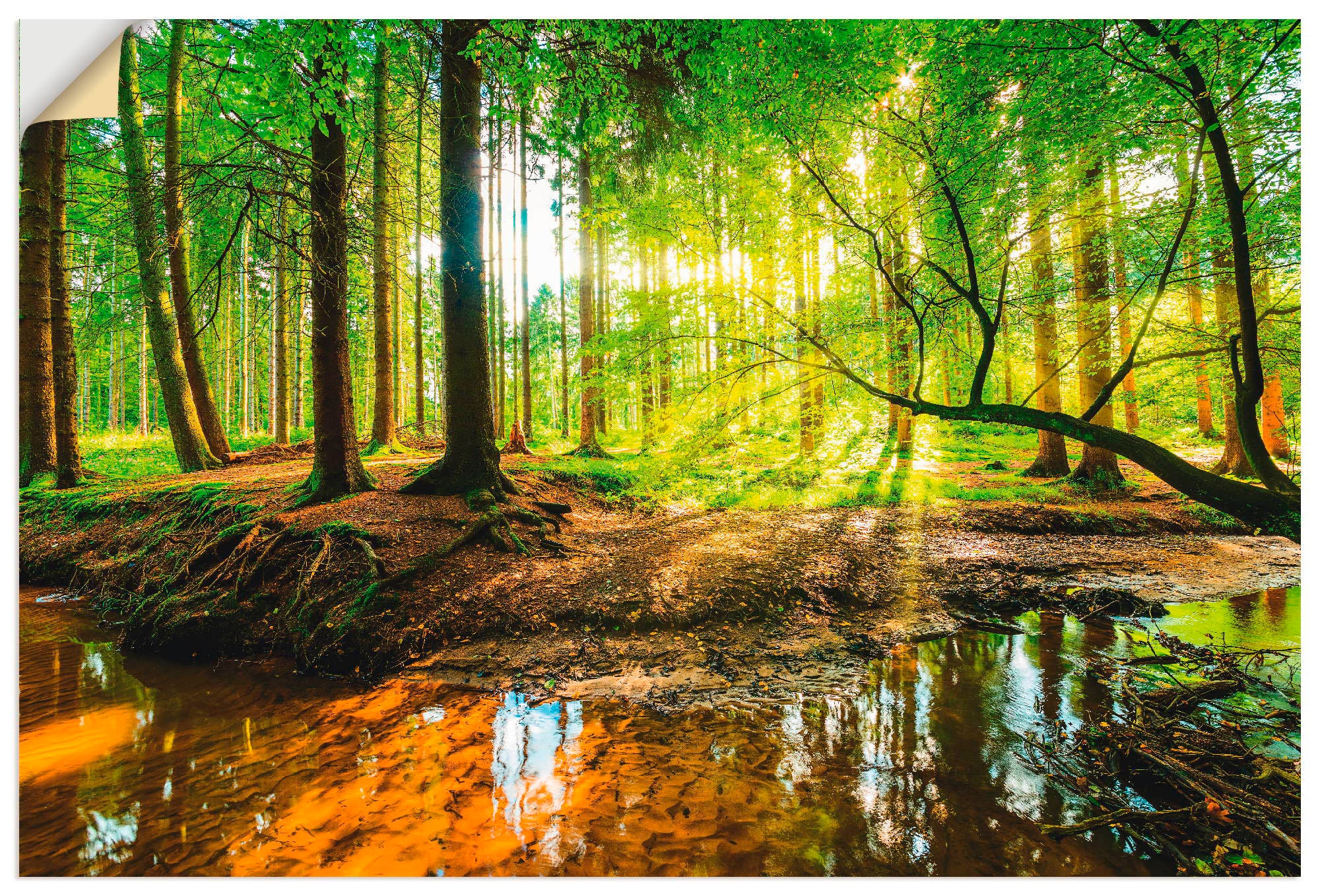 Artland Wandbild »Wald mit Poster kaufen Bach«, in Grössen Wandaufkleber oder versch. Wald, Alubild, Leinwandbild, (1 als St.)