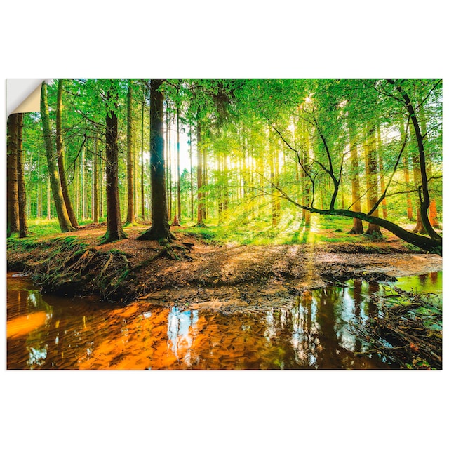 Artland Wandbild »Wald mit Bach«, Wald, (1 St.), als Alubild, Leinwandbild,  Wandaufkleber oder Poster in versch. Grössen kaufen