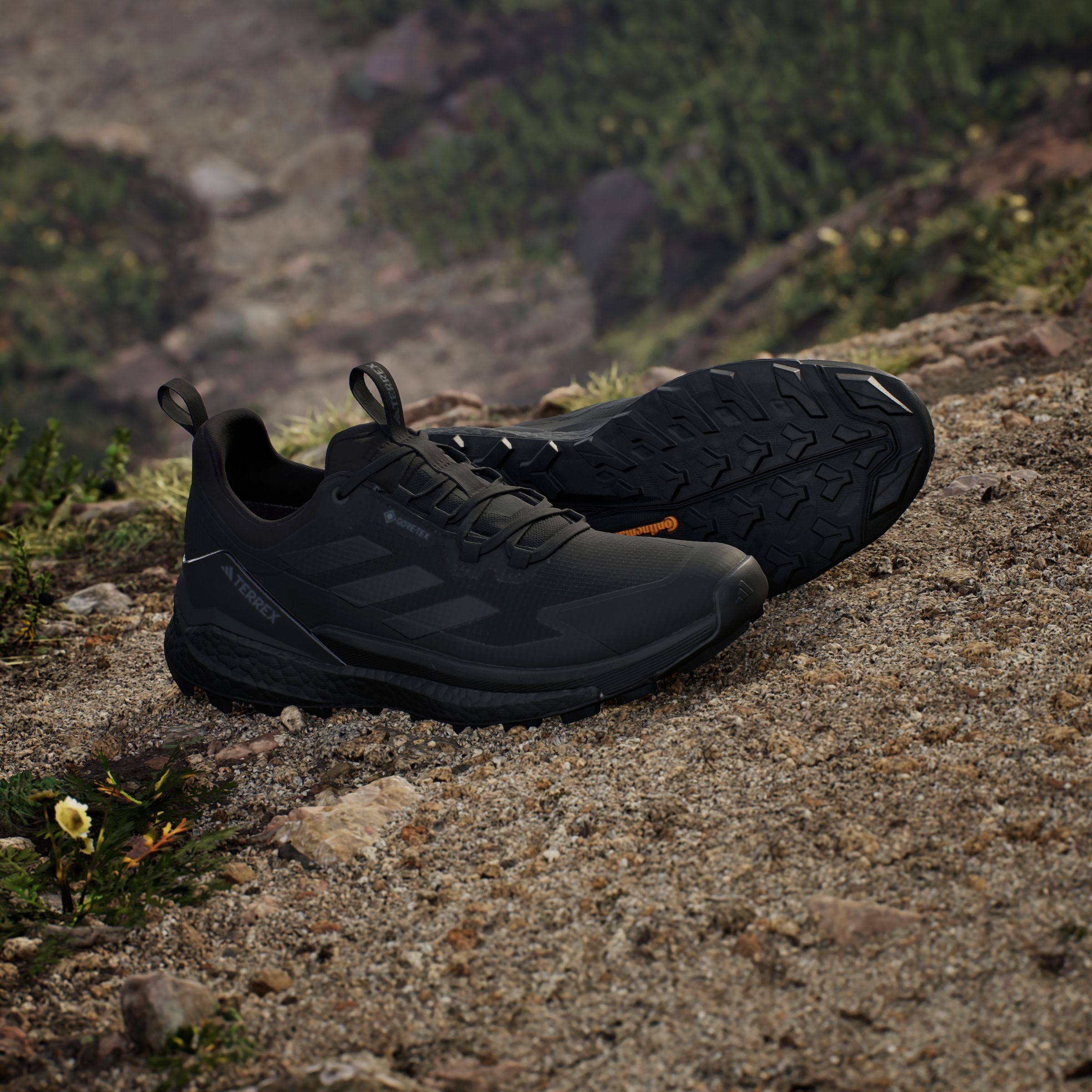 adidas TERREX Wanderschuh, wasserdicht
