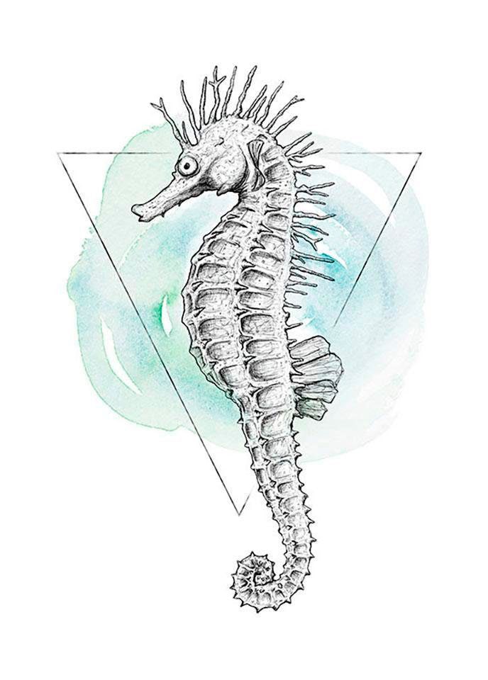 Image of Komar Bild "Sea Horse Watercolor" Tiere 1 Stk. tlg. Wandbild zur Dekoration - ohne Rahmen