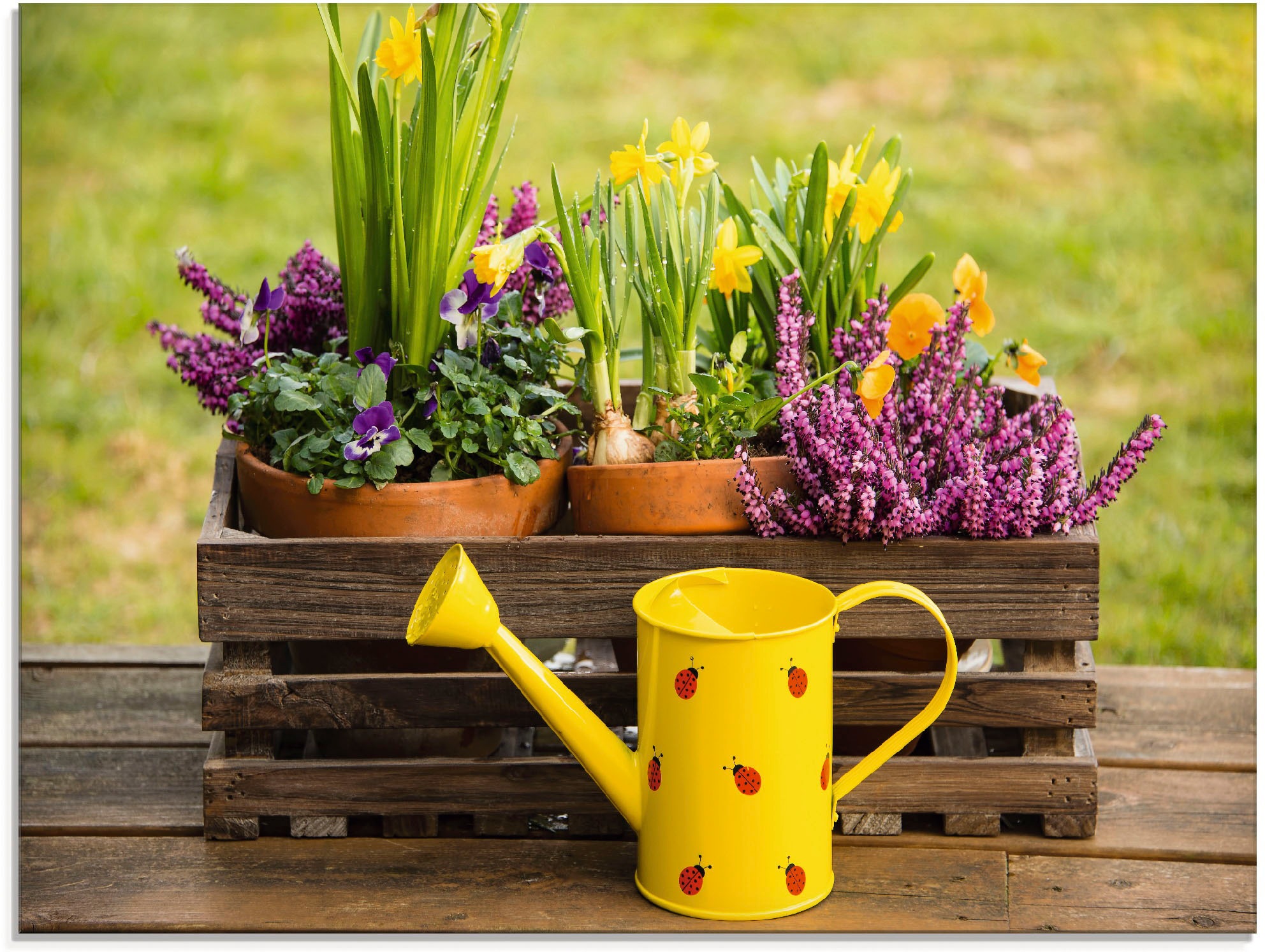 Image of Artland Glasbild »Holzkiste Heidekraut Narzissen Giesskanne«, Vasen & Töpfe, (1 St.) bei Ackermann Versand Schweiz