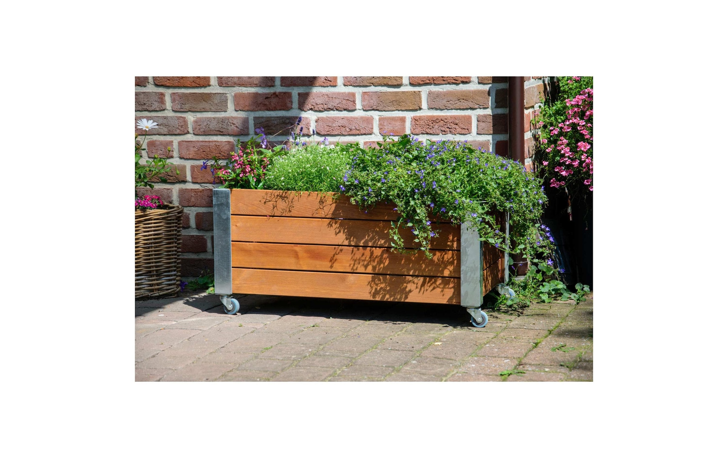 dobar Hochbeet »«Rollfi» aus Holz mit Rollen«