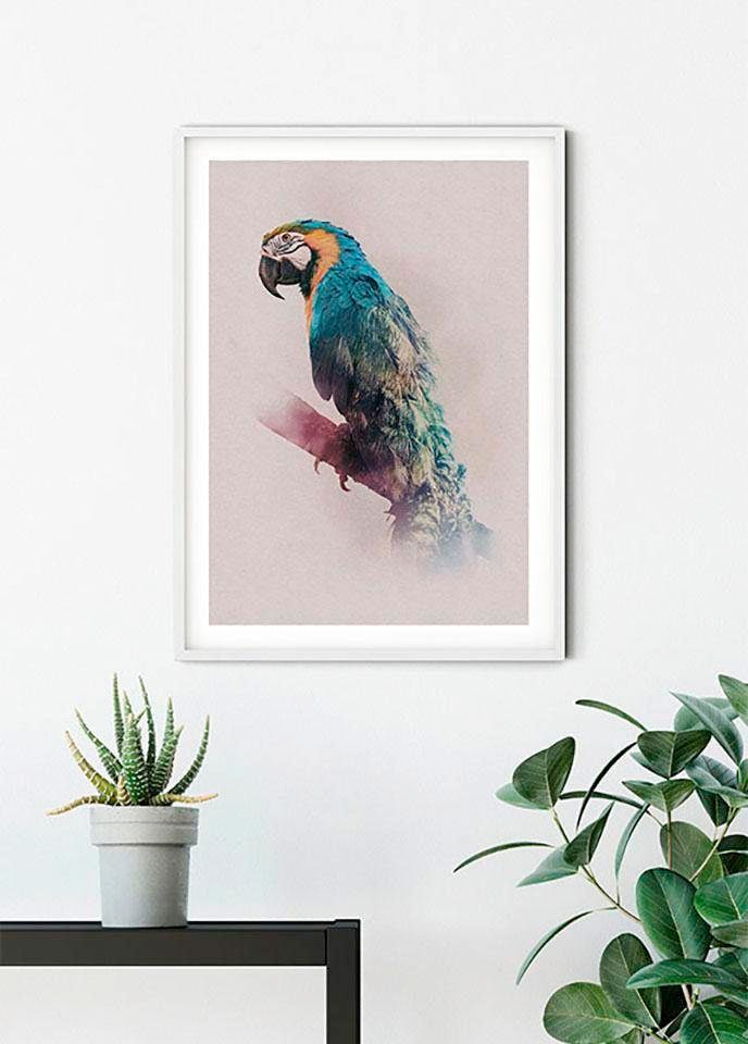 Image of Komar Bild "Animals Paradise Parrot" Tiere 1 Stk. tlg. Wandbild zur Dekoration - ohne Rahmen