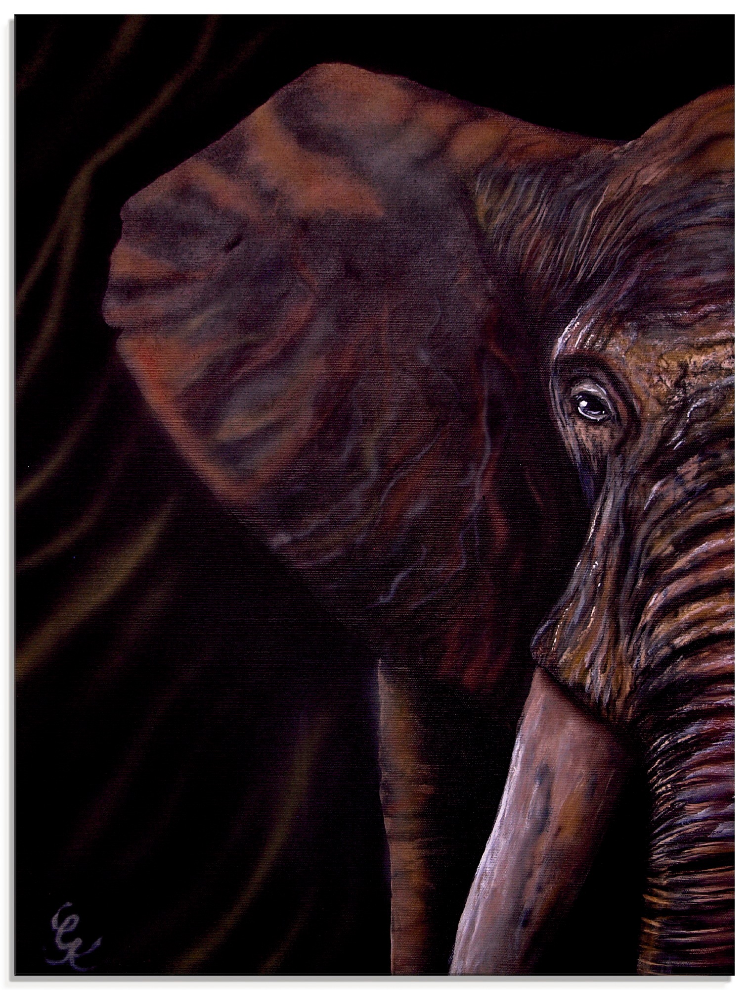 Image of Artland Glasbild »Elefant«, Wildtiere, (1 St.) bei Ackermann Versand Schweiz