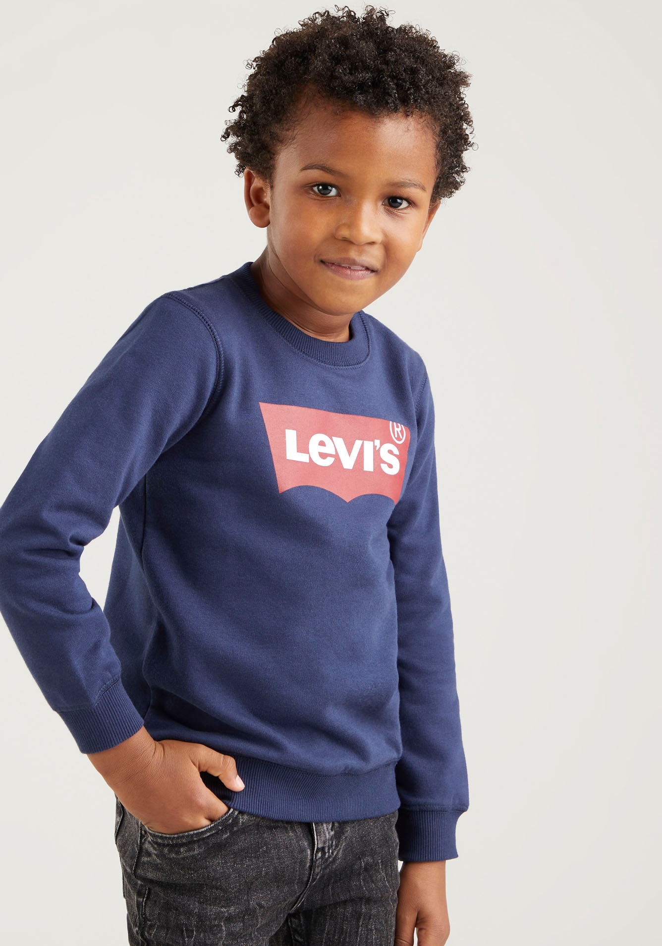 Levi's® Kids Sweatshirt »LVB LVB FRENCH TERRY BATWING«, mit grossem Logo