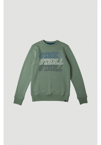 O'Neill Sweatshirt »All Year Crew Sweatshirt« kaufen