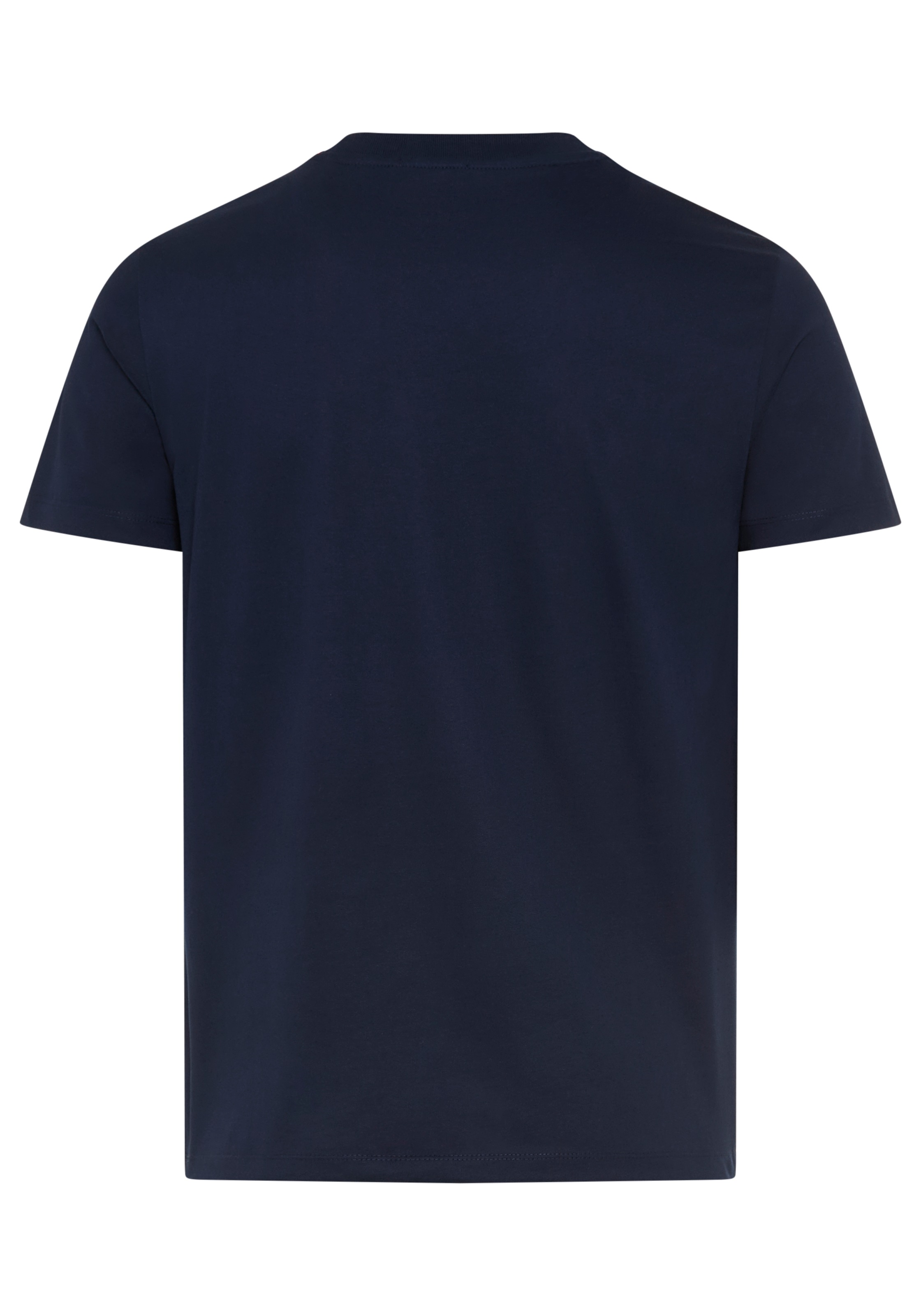 Replay T-Shirt Baumwoll-Qualität, Logoschriftzug