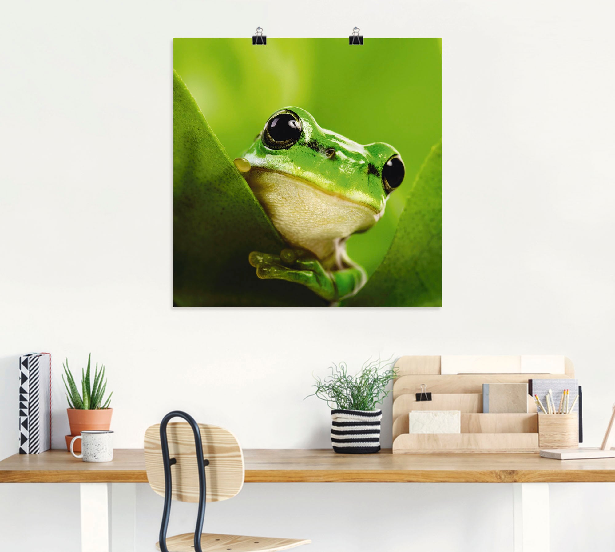 Artland Wandbild »Ausspähender Frosch« Wassertiere 1 Stk. tlg. als Leinwandbild, Poster in verschied. Grössen