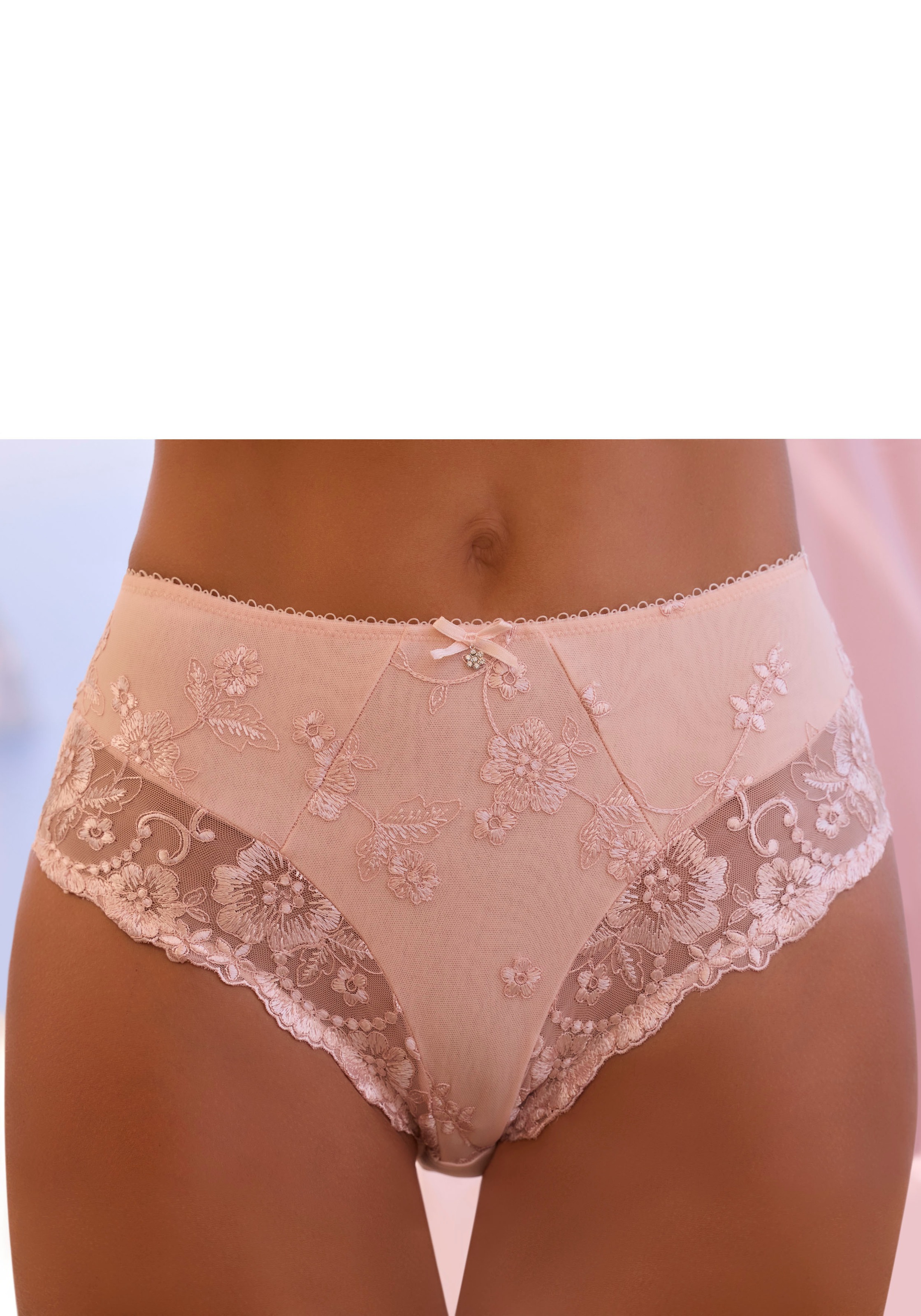 Image of LASCANA Slip "Wanda" in abdeckender Schnittform und Stickerei Spitze