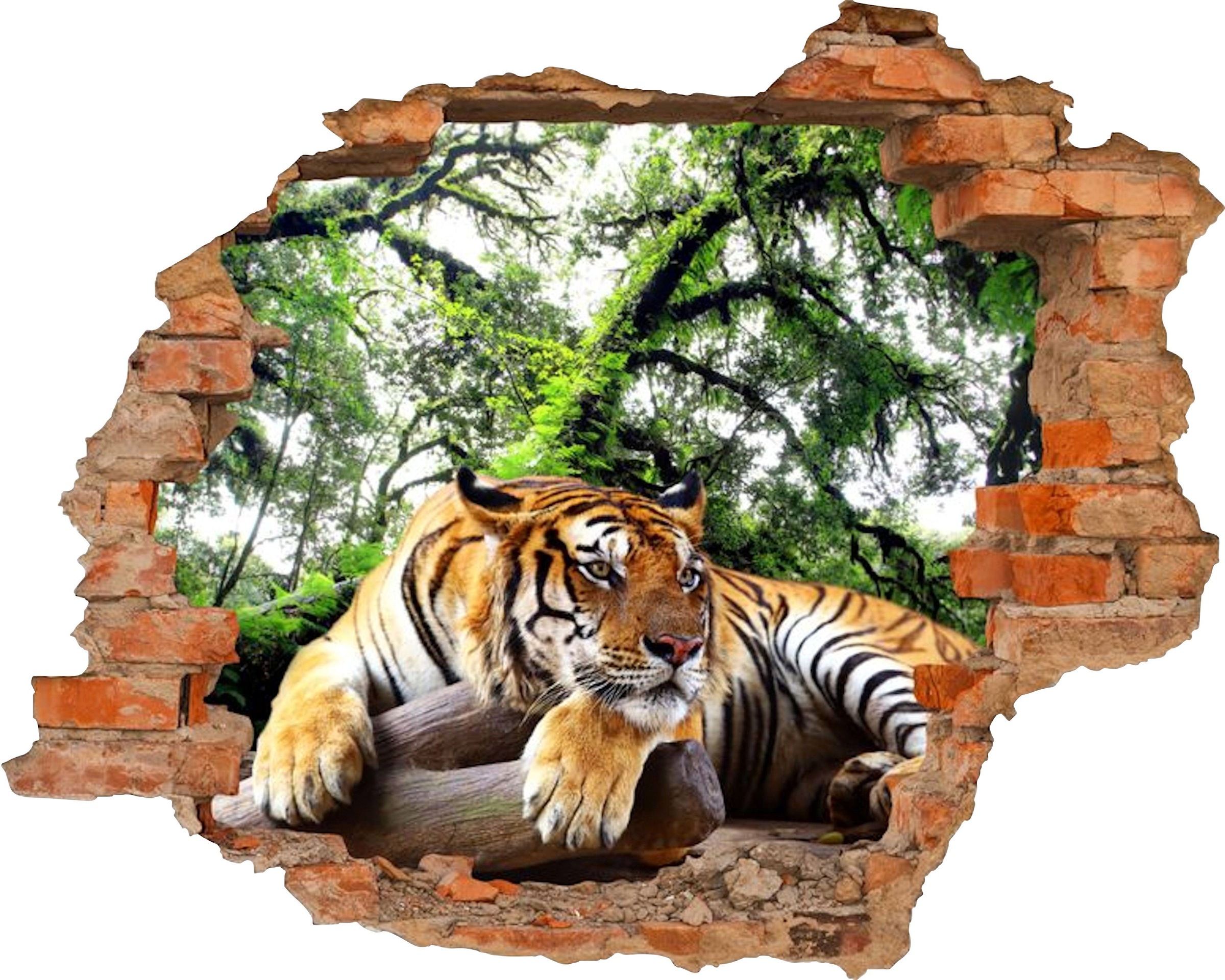 Image of Conni Oberkircher´s Wandsticker »Tiger«, selbstklebend, Wildtiere bei Ackermann Versand Schweiz