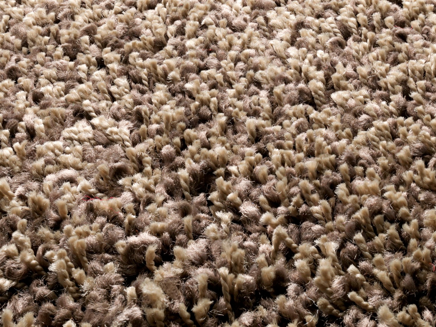 OCI DIE TEPPICHMARKE Tapis à poils longs »Lobby Shaggy« Rectangulaire 52 mm Höhe Wohnzimmer