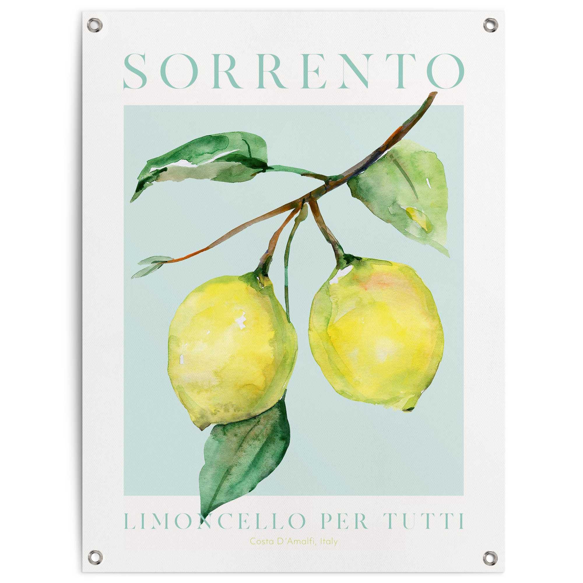 Image of Reinders Poster "Lemon Portrait" Garten - Obst - Sorrento - Italien - Gelb - Leinwand - 60x80 cm