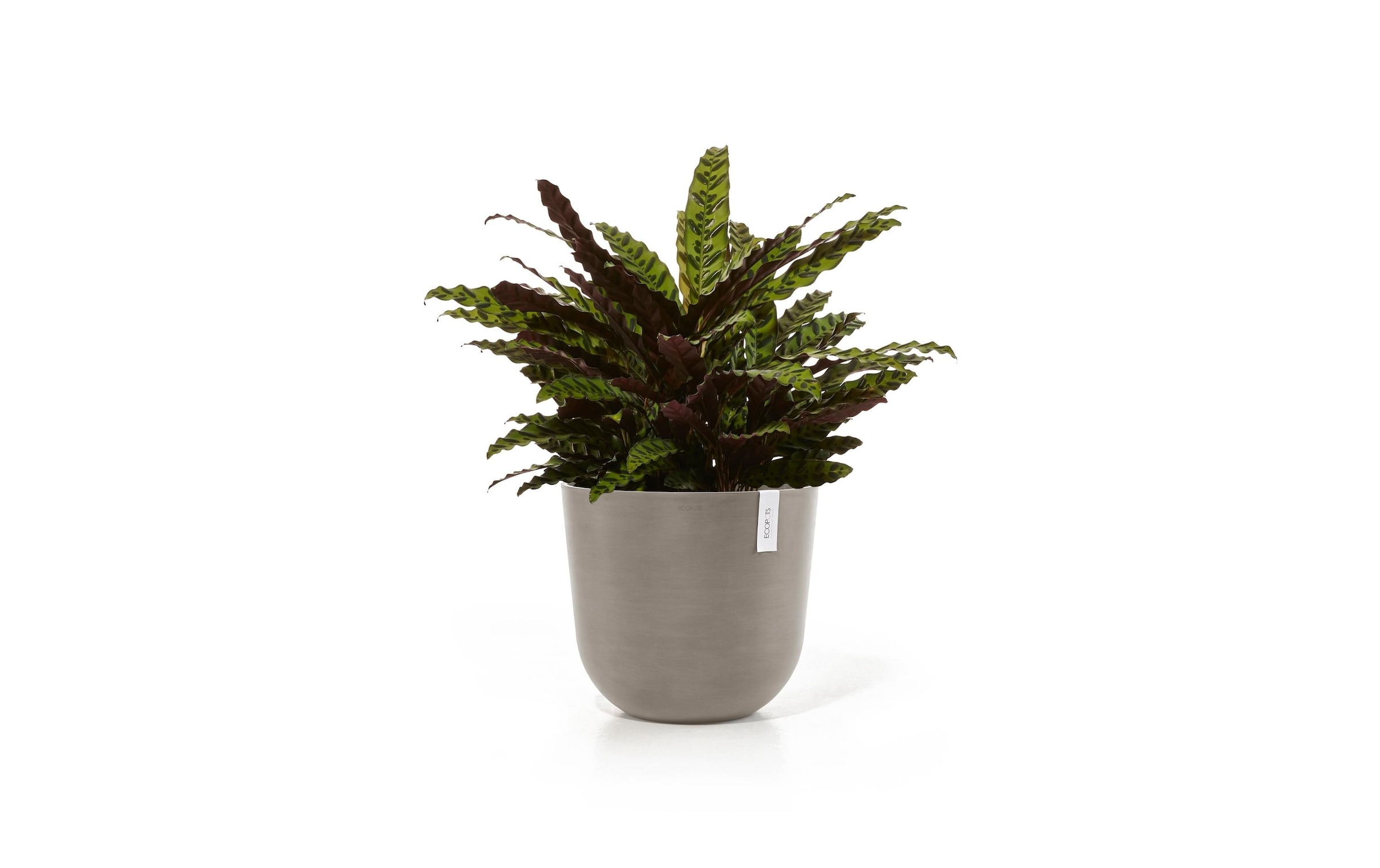 ECOPOTS Pflanzkübel »Oslo 45«, (1 St.)