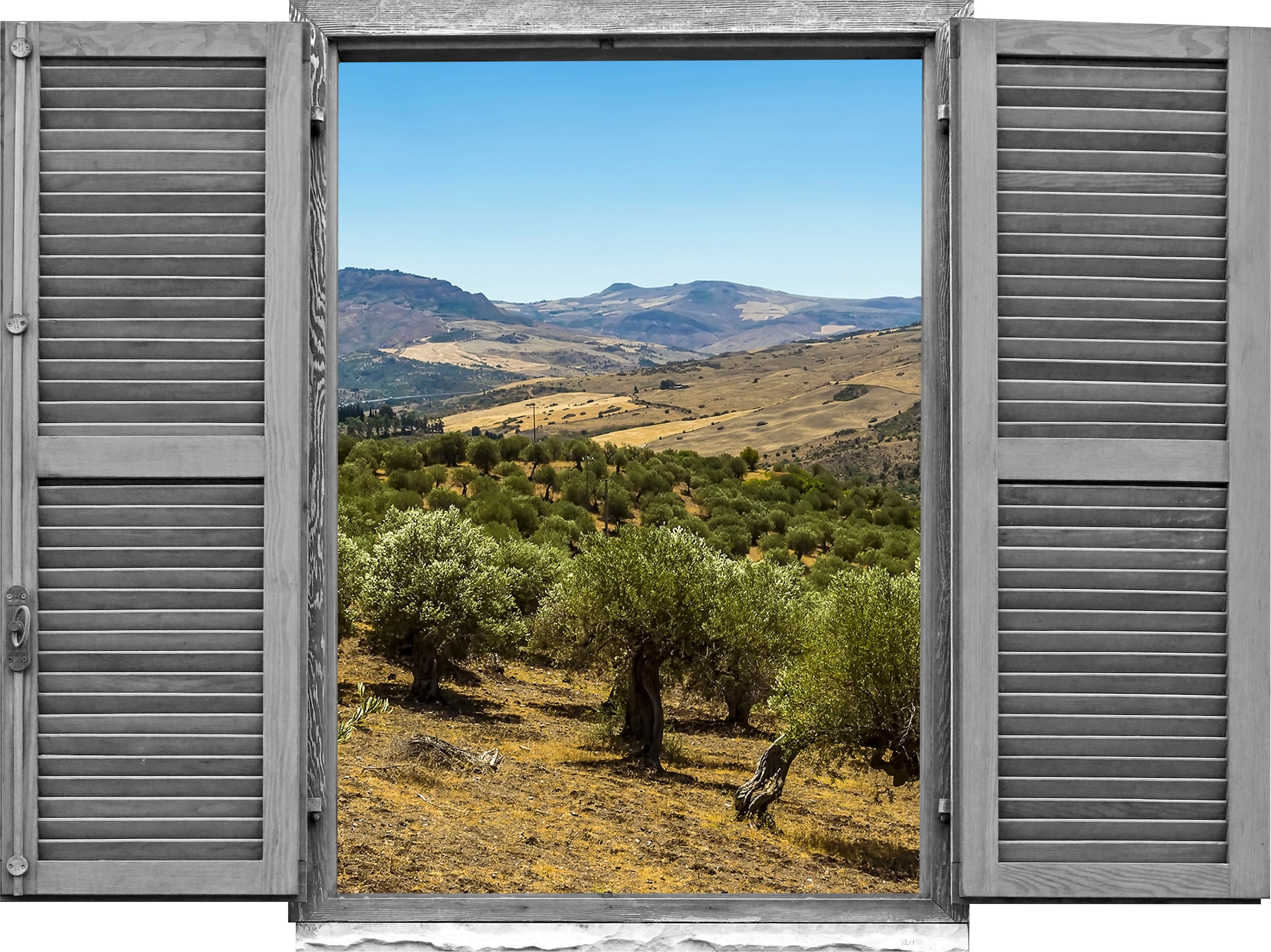 Image of queence Wandtattoo "Landschaft von Olivenbäu" Wandsticker, Wandbild, selbstklebend, 3D, Fenster