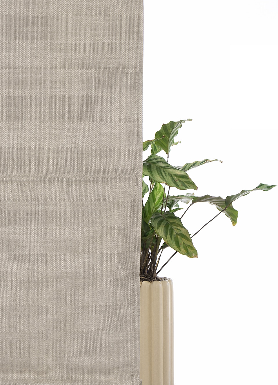 my home Store à enrouleur »RIOLA« verdunkelnd ohne Bohren freihängend Faltrollo in trendiger Leinenoptik NEUHEIT!