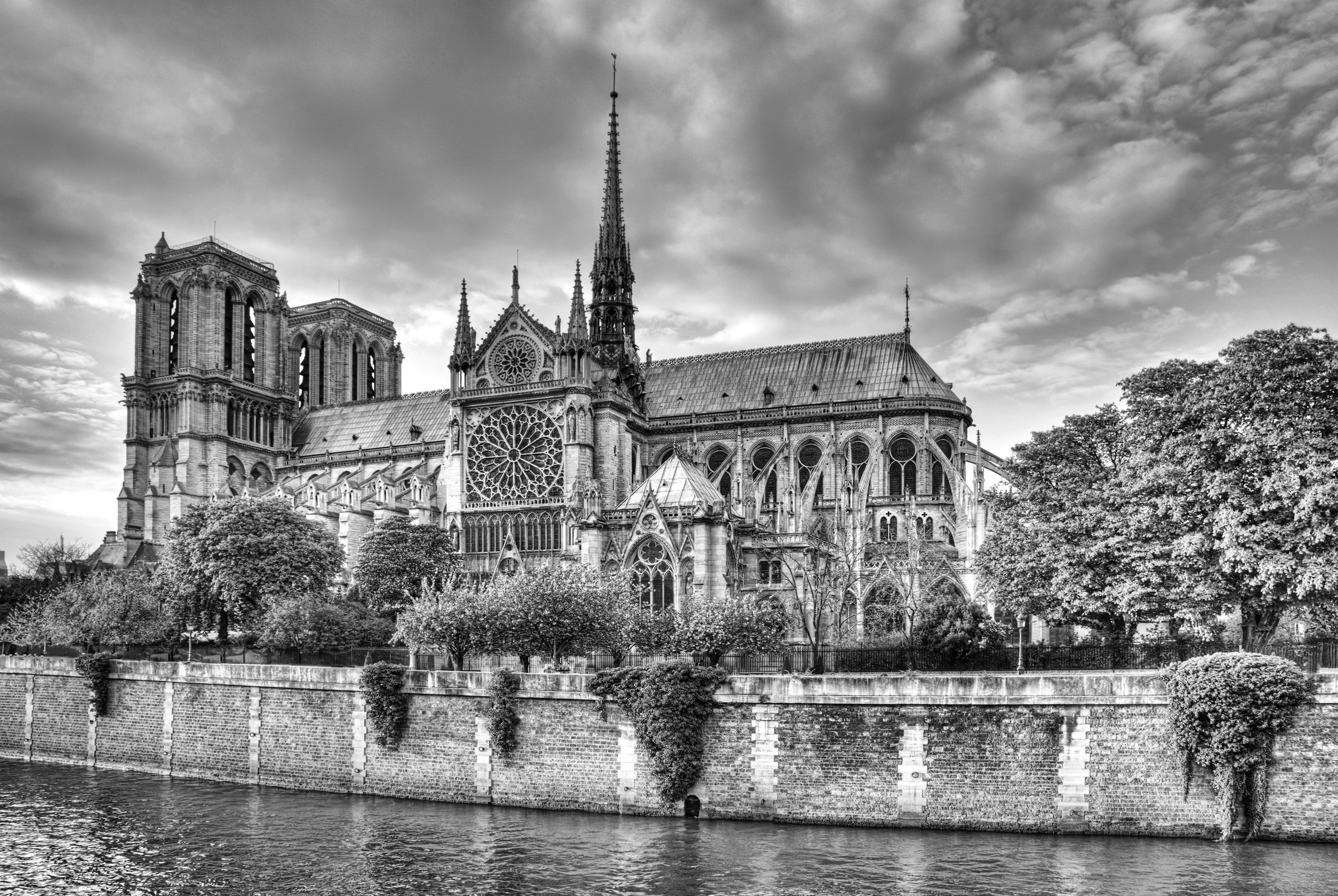Image of Papermoon Fototapete »Notre Dame Schwarz & Weiss«, Vliestapete, hochwertiger Digitaldruck, inklusive Kleister bei Ackermann Versand Schweiz