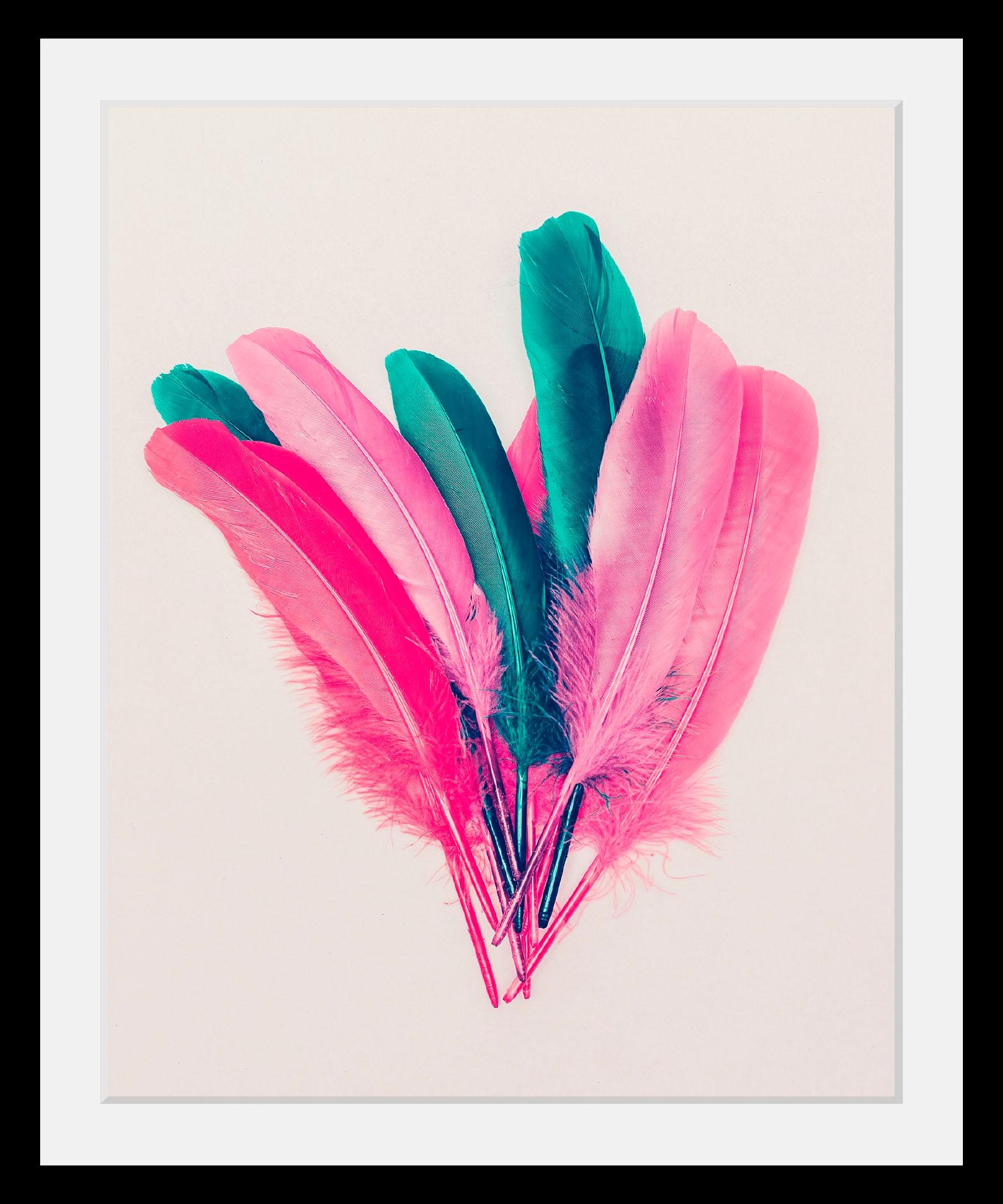 Image of queence Bild "Federn" Federn Kunst HD Premium Poster-Druck inkl. Holzrahmen