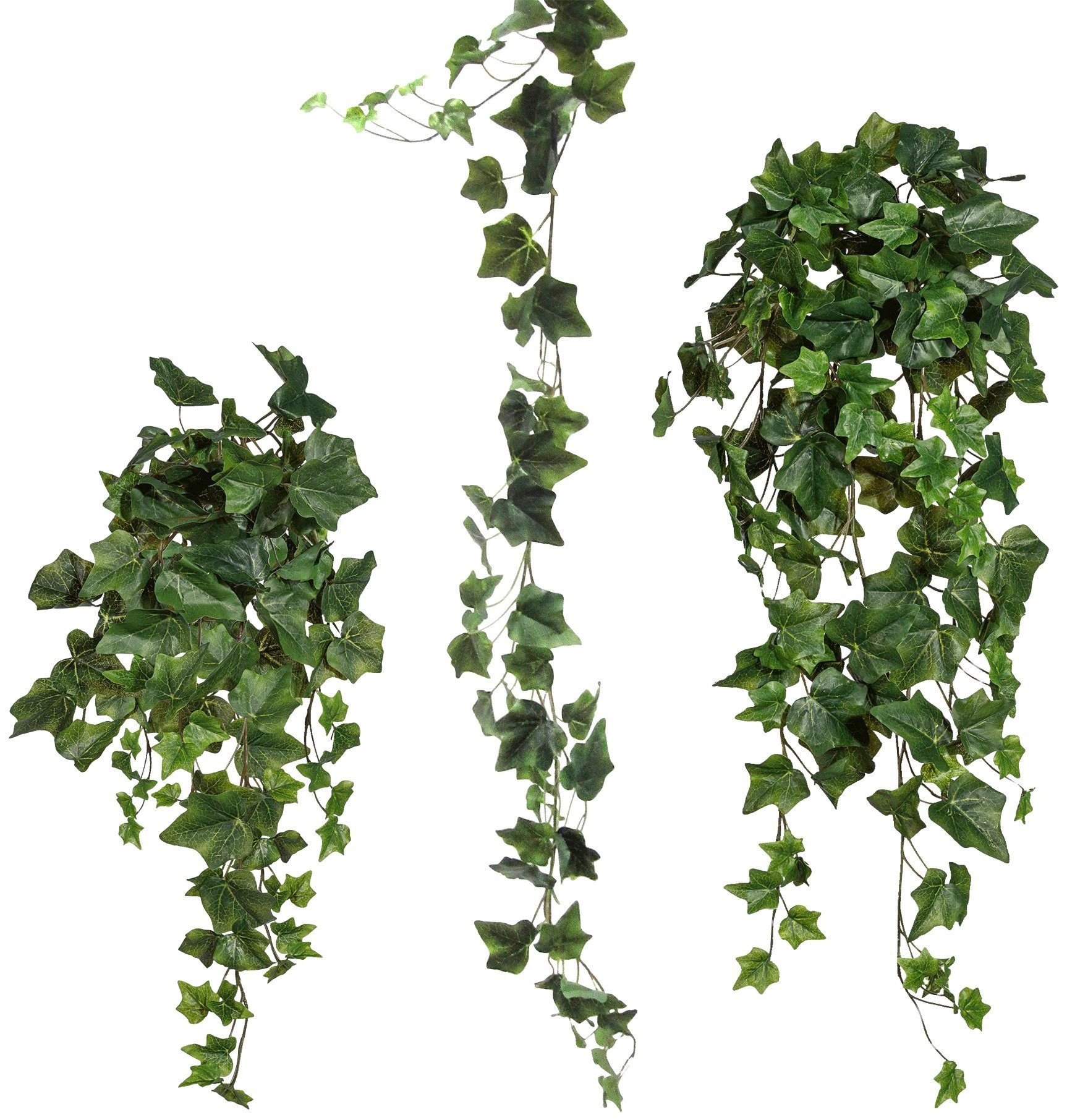 Image of Creativ green Kunstranke »Efeugirlande«, (Set, 3 St.) bei Ackermann Versand Schweiz