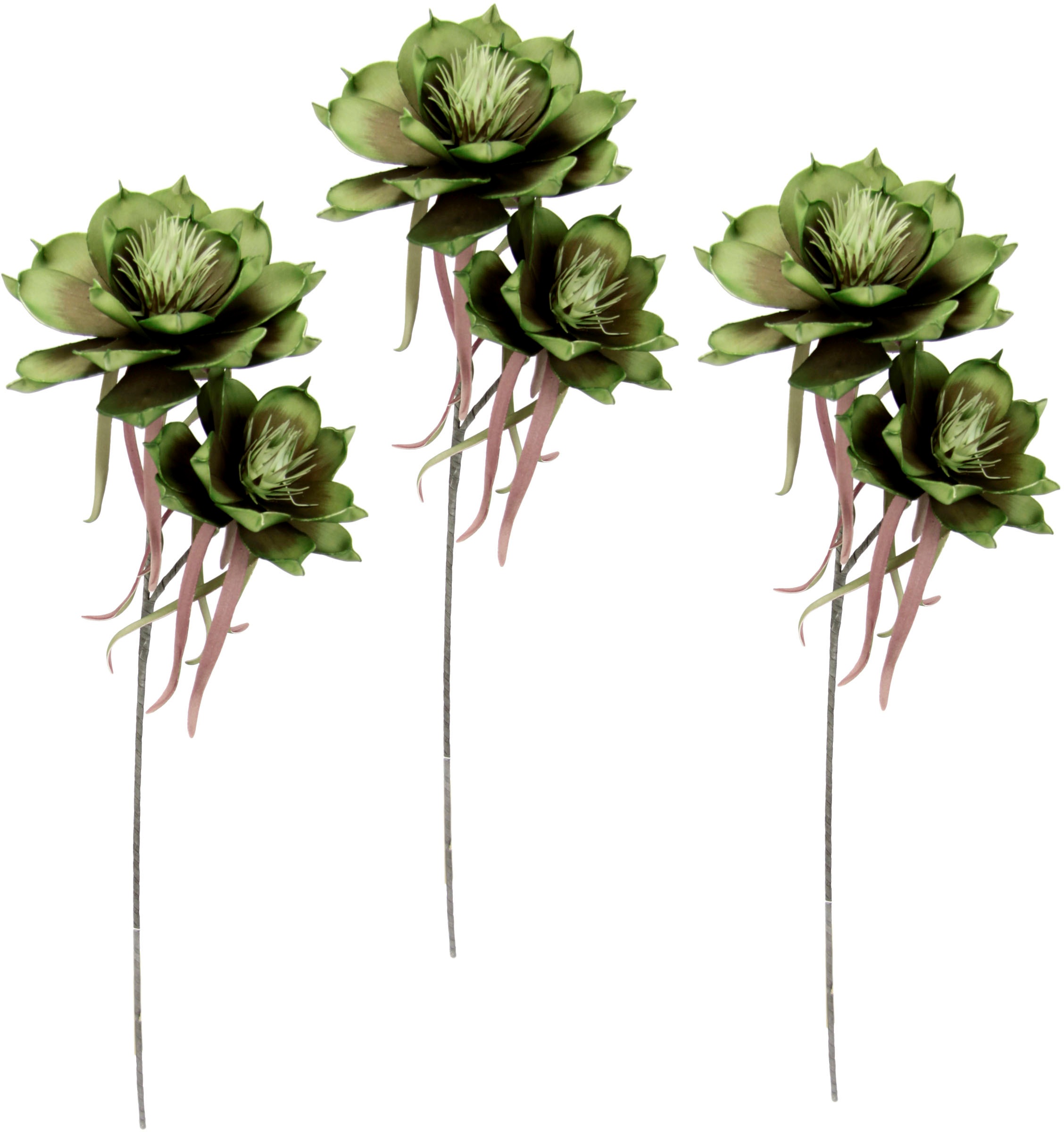 Image of I.GE.A. Kunstblume »Soft-Magnolie«, (3 St.), 3er Set bei Ackermann Versand Schweiz
