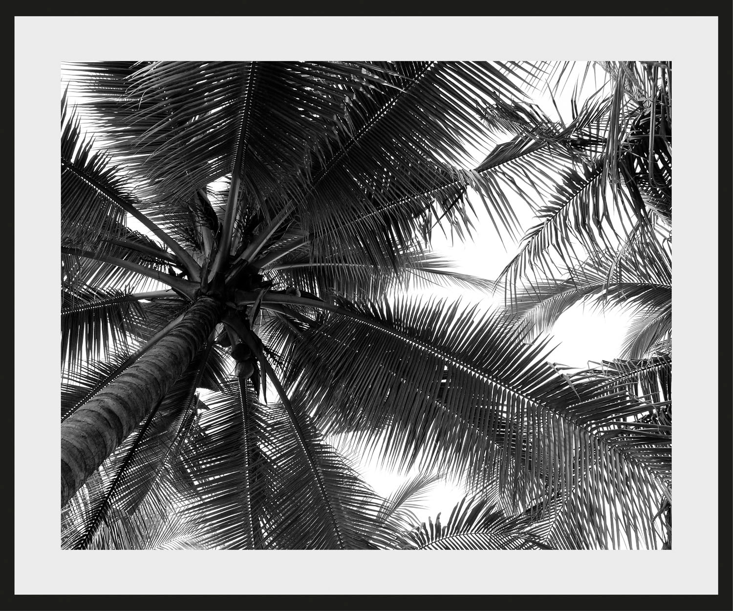 queence Image »Mary« 1 cuis tlg. HD Premium Poster-Druck inkl. Holzrahmen