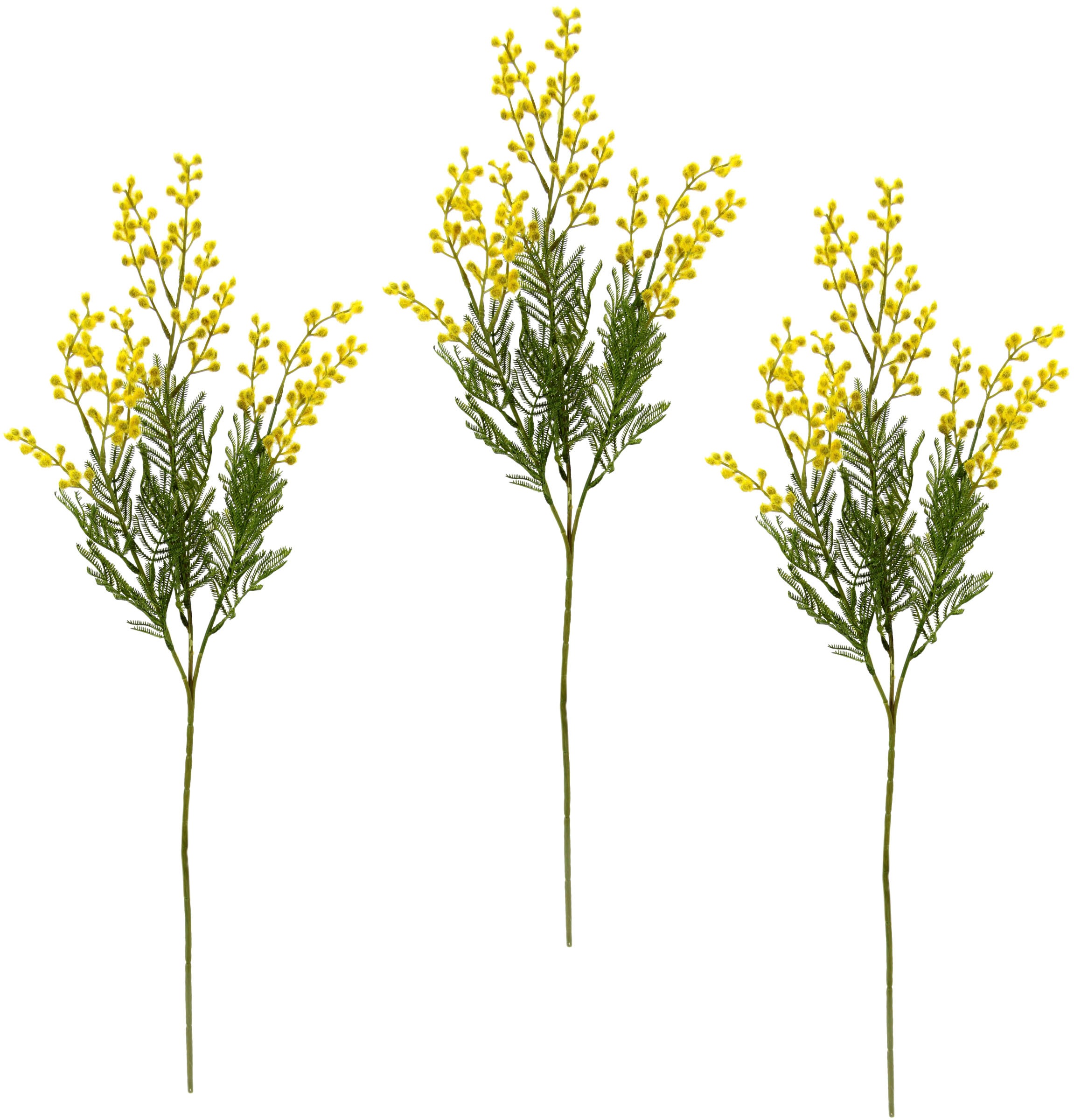 Image of I.GE.A. Kunstblume »Mimosen Zweig«, (3 St.), 3er Set bei Ackermann Versand Schweiz