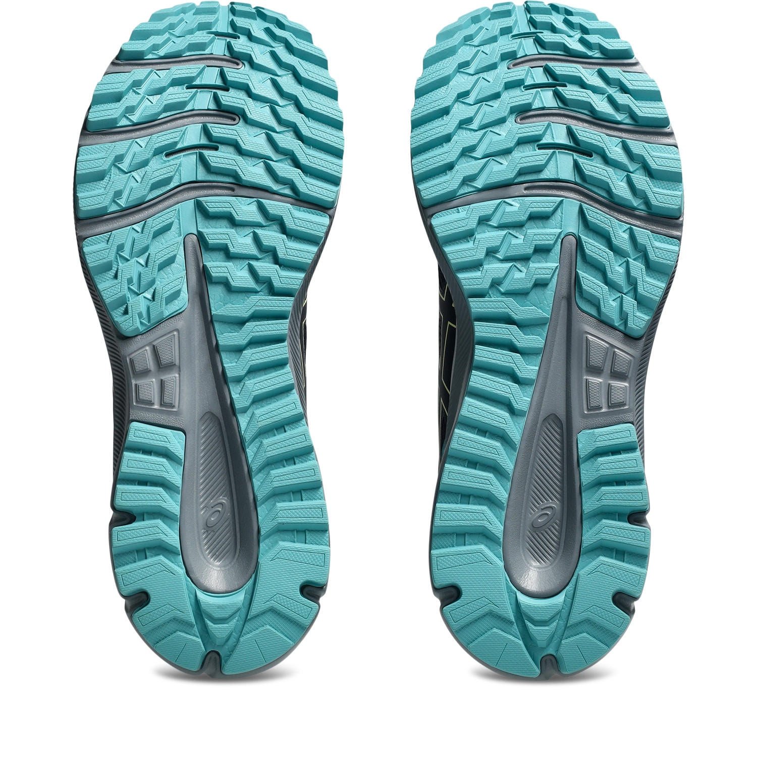 Asics Trailrunningschuh »TRAIL SCOUT 3«
