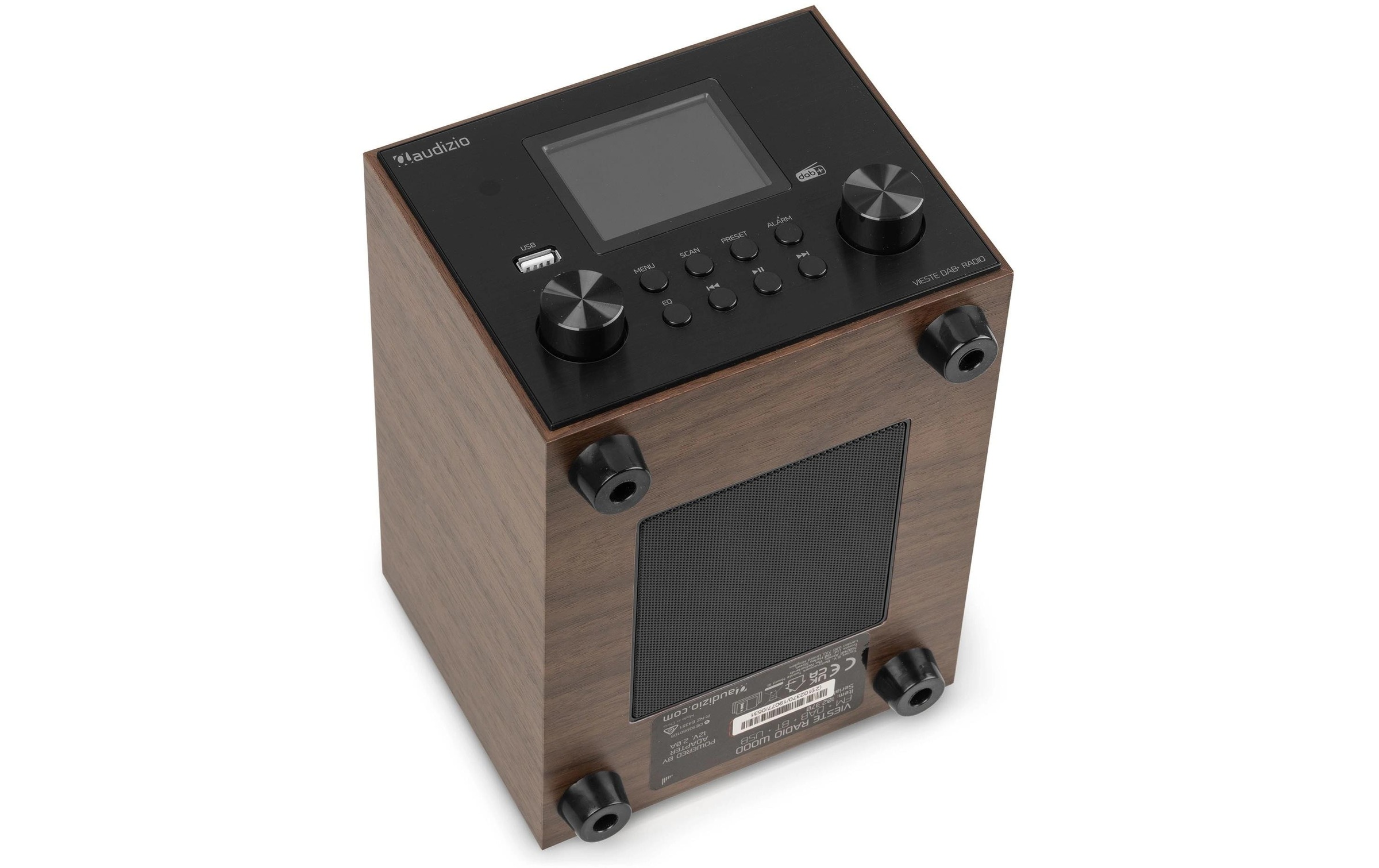AUDIZIO Digitalradio (DAB+) »Vieste«, (Digitalradio (DAB+)-FM-Tuner)
