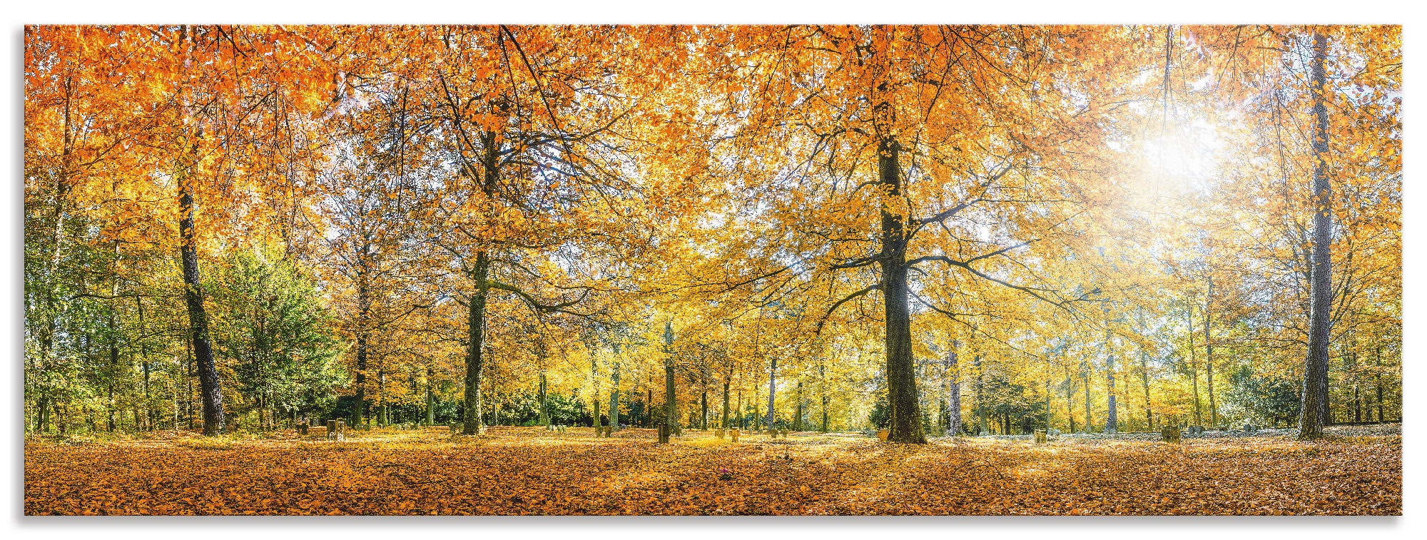 Image of Artland Küchenrückwand »Herbstwald Panorama«, (1 tlg.), selbstklebend in vielen Grössen - Spritzschutz Küche hinter Herd u. Spüle als Wandschutz vor Fett, Wasser u. Schmutz - Rückwand, Wandverkleidung aus Alu bei Ackermann Versand Schweiz