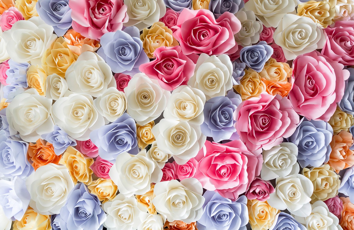 Image of Papermoon Fototapete "ROSEN-BLUMEN ABSTRAKT TEXTUR MUSTER FARBIG DEKO GARTEN"