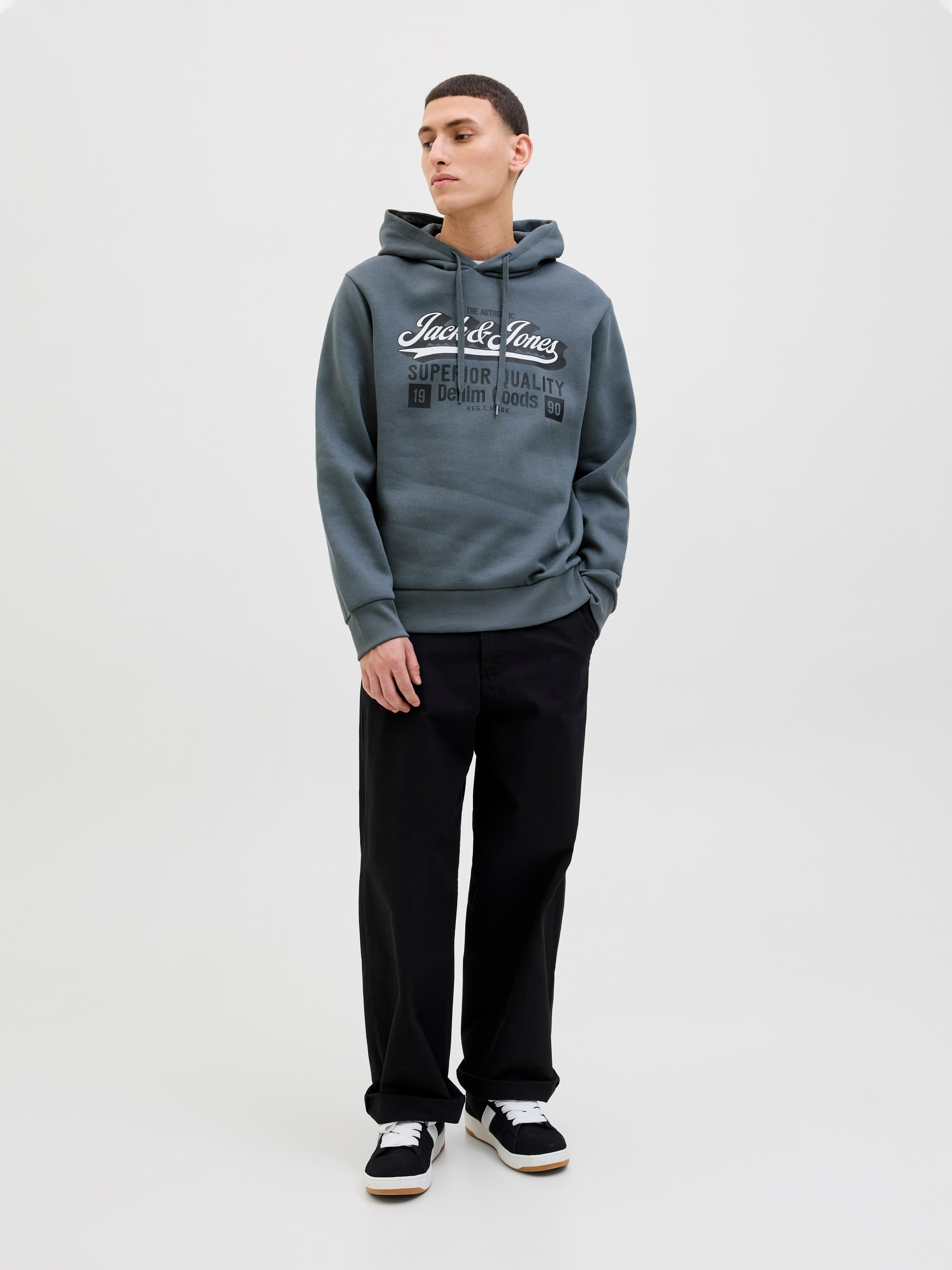 Jack & Jones Kapuzensweatshirt »JJELOGO SWEAT HOOD 2 COL 25/26 NOOS«
